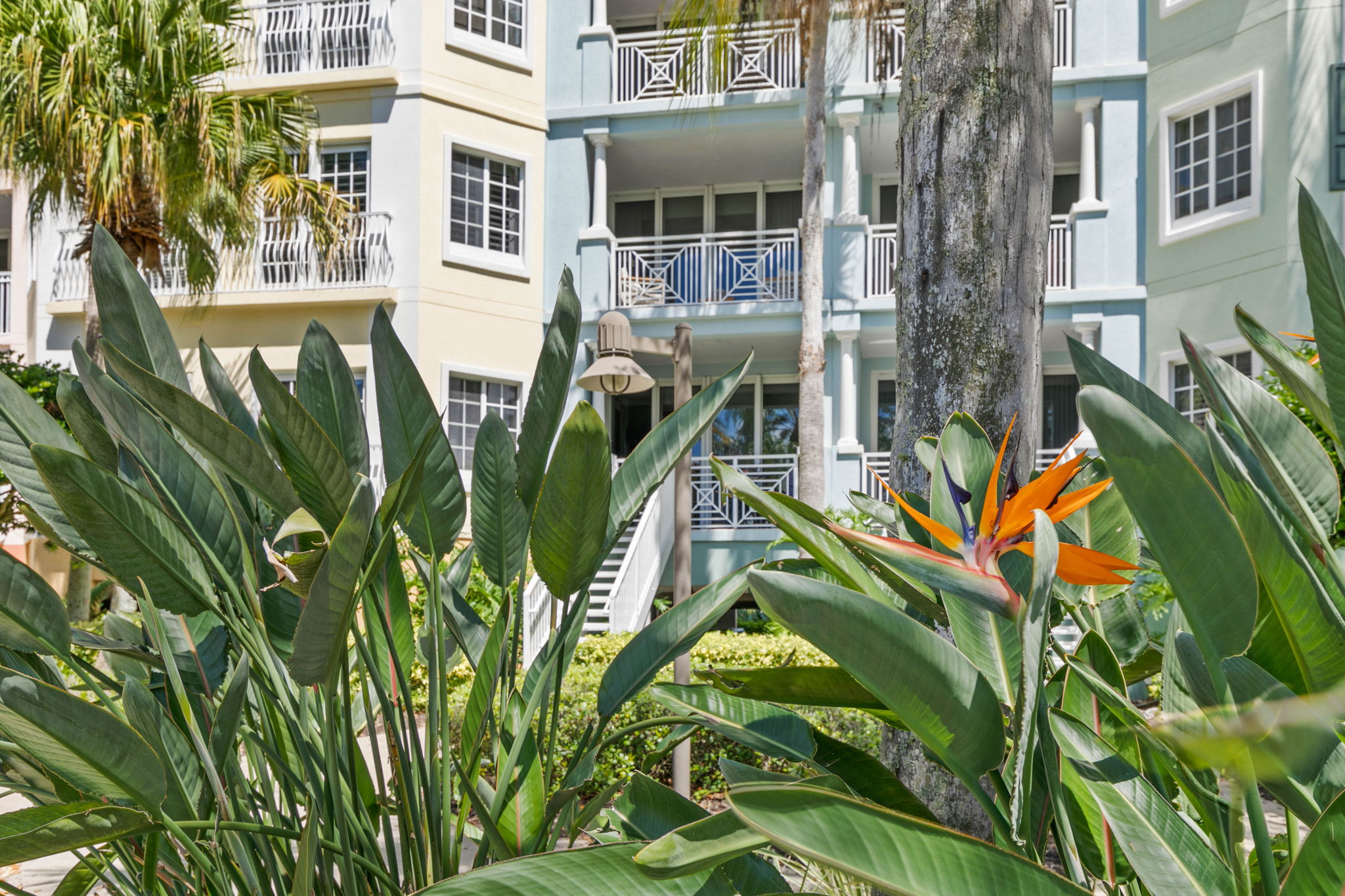  102 Yacht Harbor Drive, Palm Coast, FL, 32137 - 物件實景