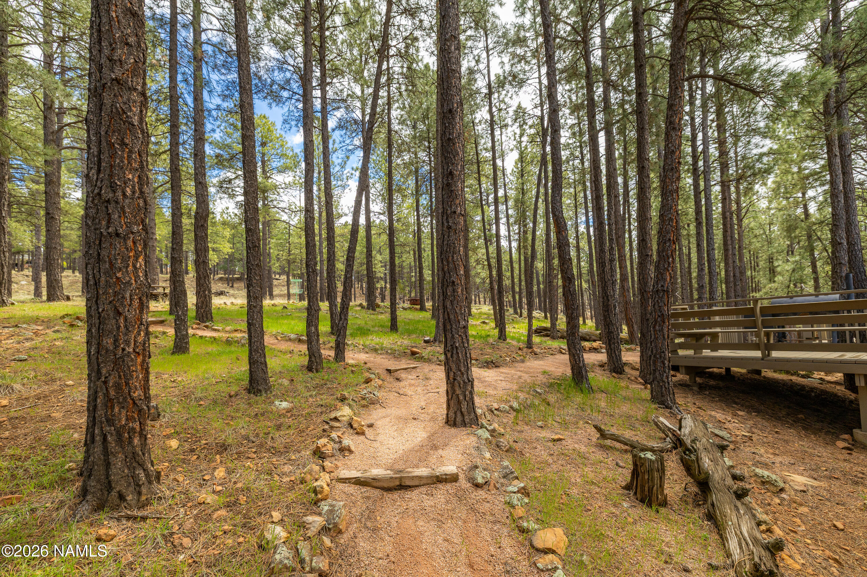  1426 N Edgewood Street, Flagstaff, AZ 86004 - 物件實景