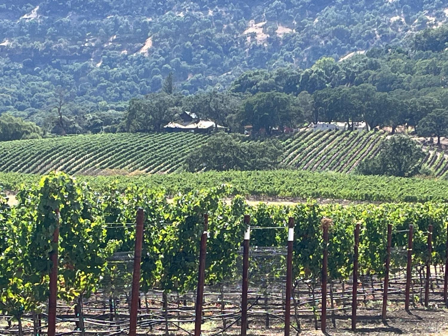 Napa, California, 94558, United States, 3 Bedrooms Bedrooms, ,3 BathroomsBathrooms,Residential,For Sale,1991897