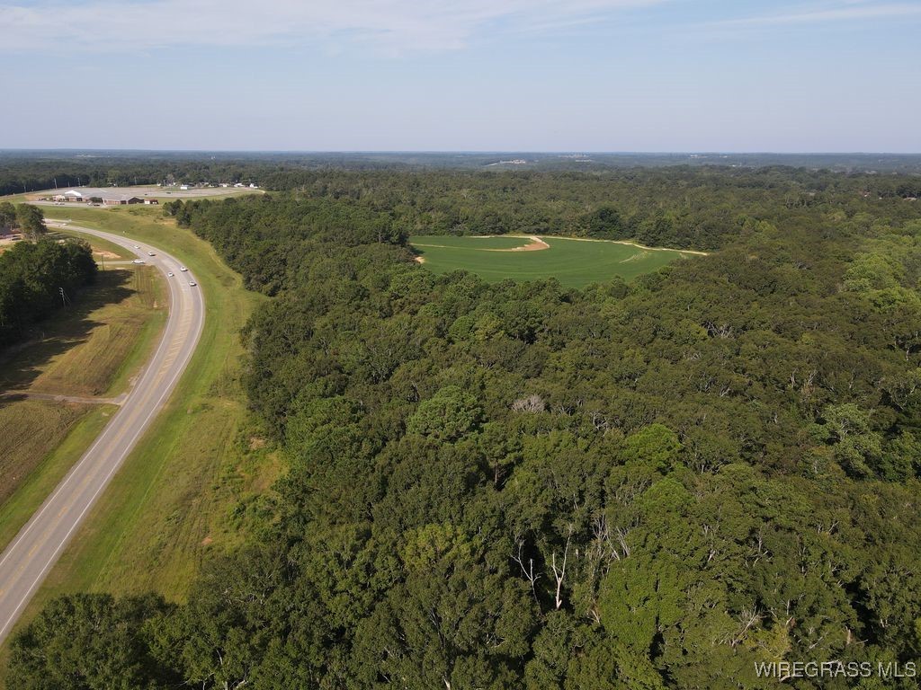 Enterprise, Alabama, 36330, United States, ,Land,For Sale,1979580