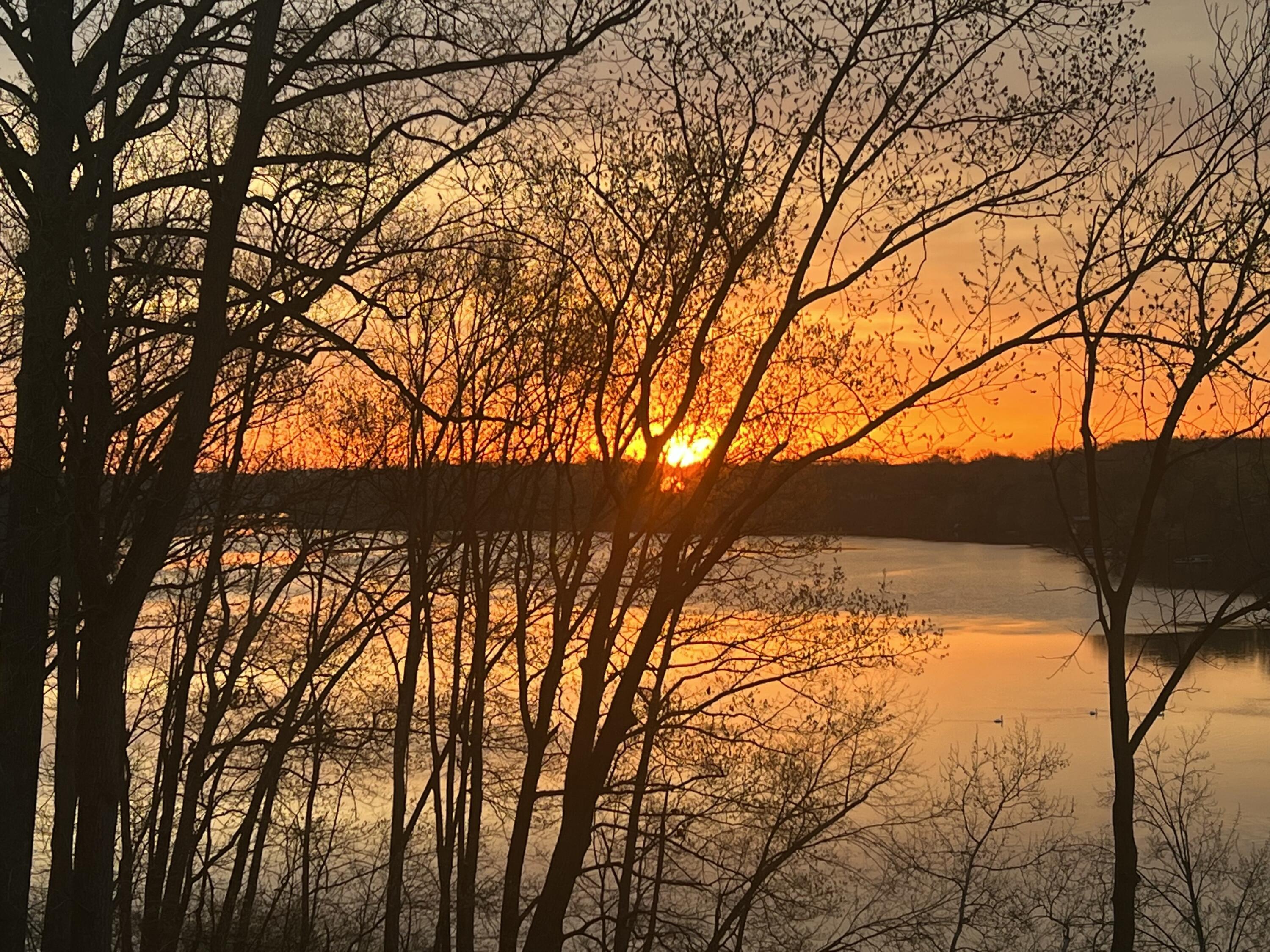 Berrien Springs, Michigan, 49103, United States, 4 Bedrooms Bedrooms, ,4 BathroomsBathrooms,Residential,For Sale,2005199