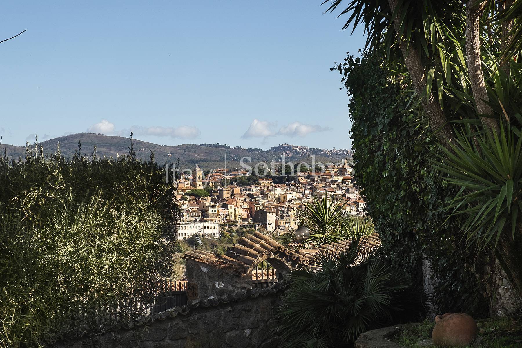  Charming villa near Castel Gandolfo - 物件實景