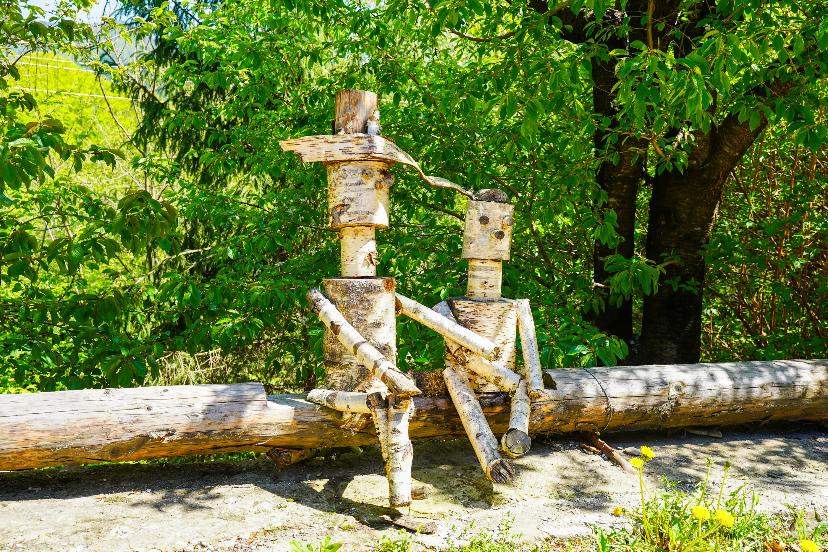  ?Casa Tisaru? - A Versatile Retreat in the Heart of Nature - 物件實景