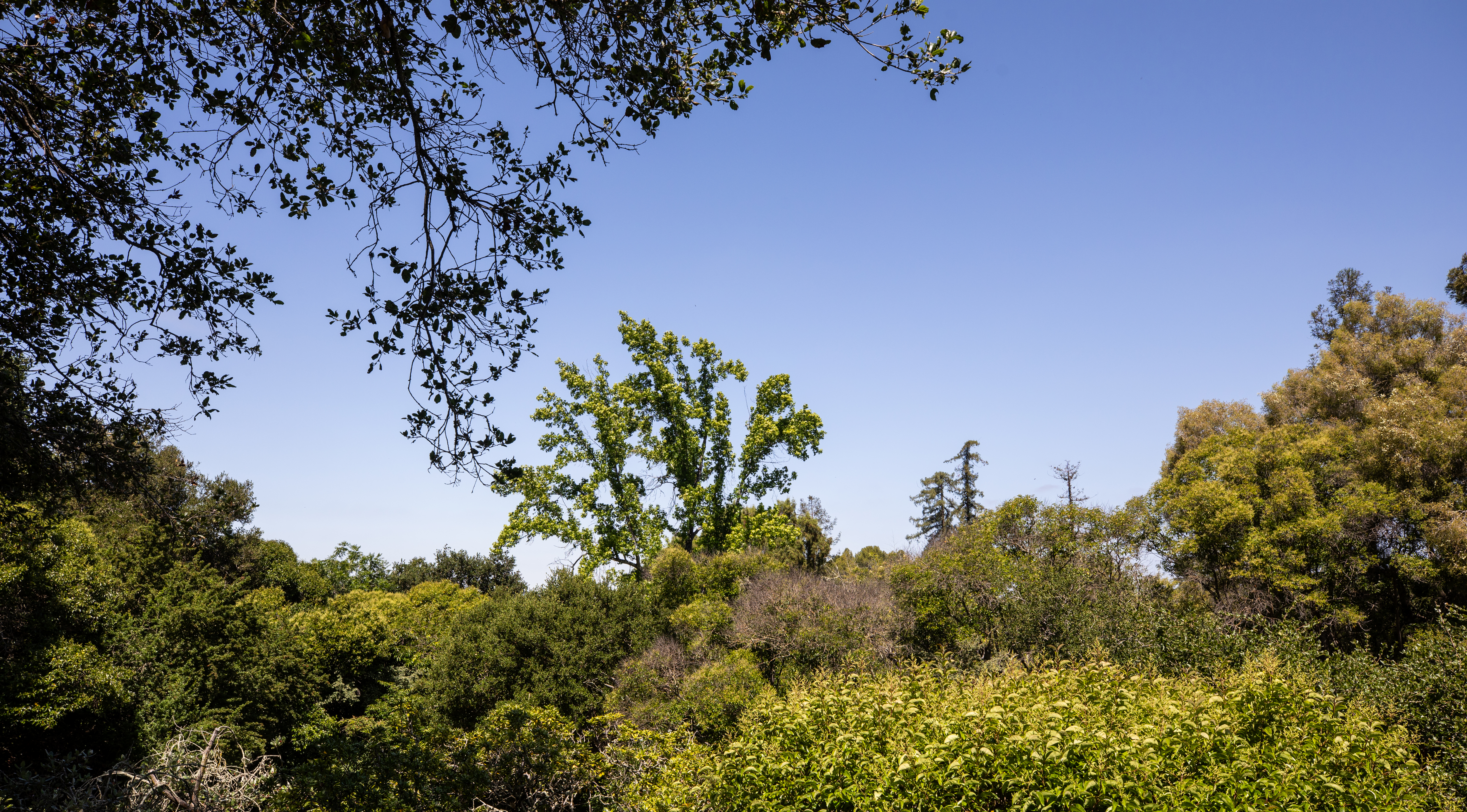  746 Santa Ynez Street, Stanford, CA 94305 - 物件實景