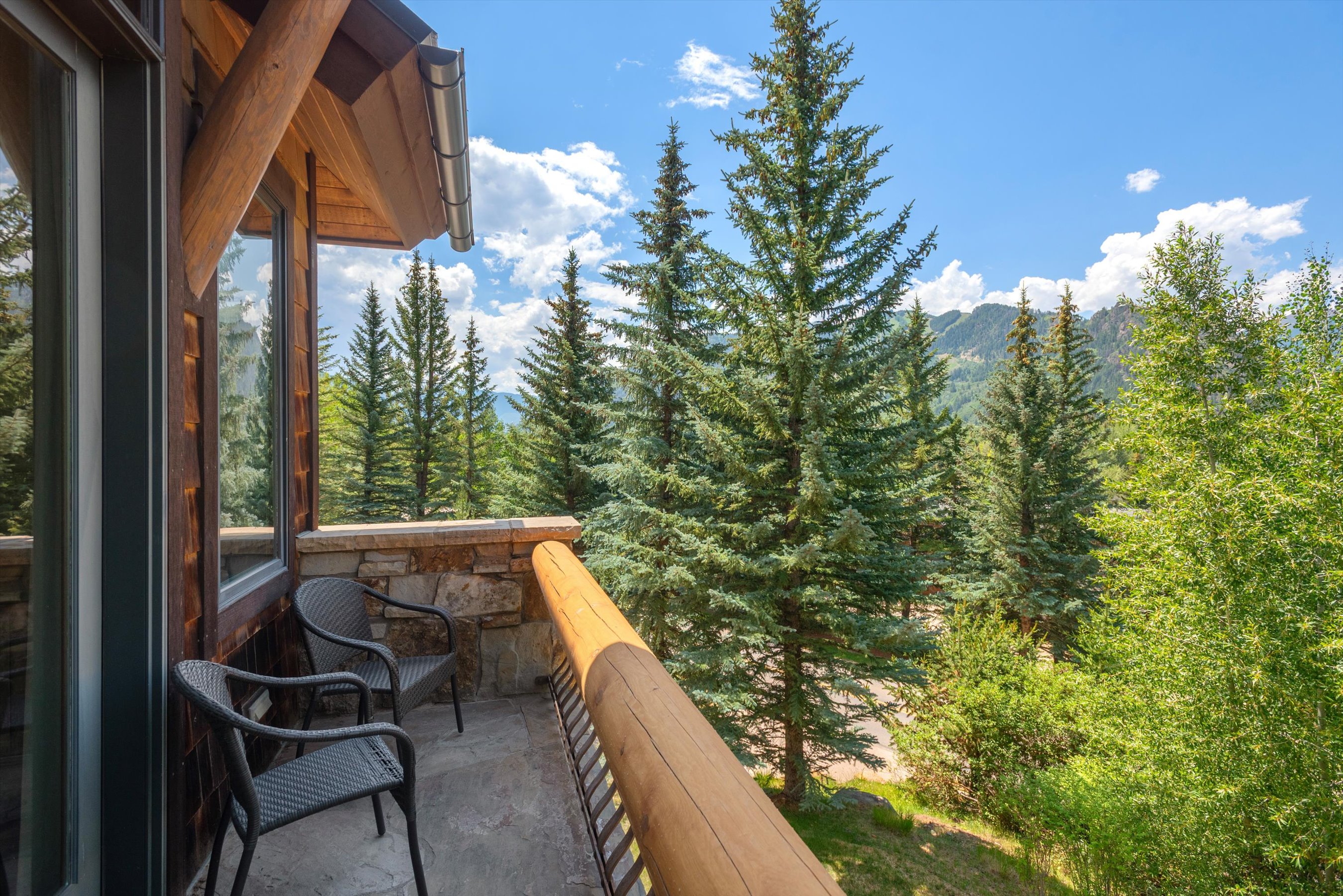 Prestigious Willoughby Way Mountain Home - 物件實景
