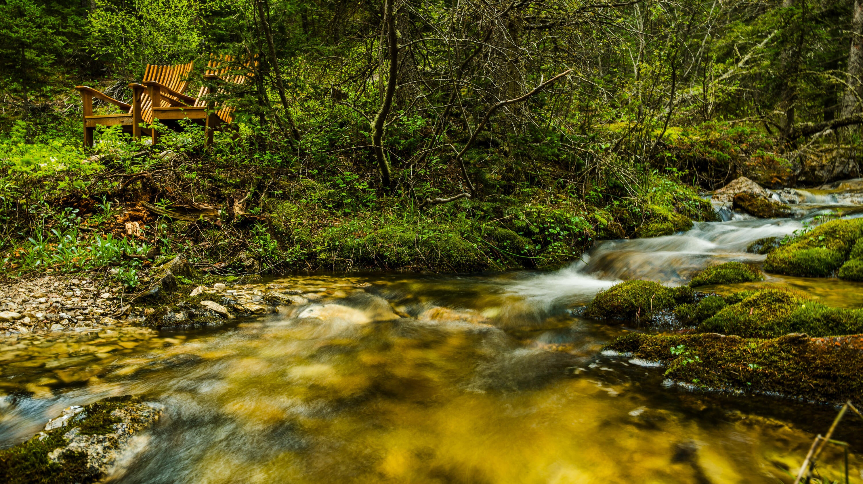 Big Horn, Wyoming, 82833, United States, ,Residential,For Sale,2011314