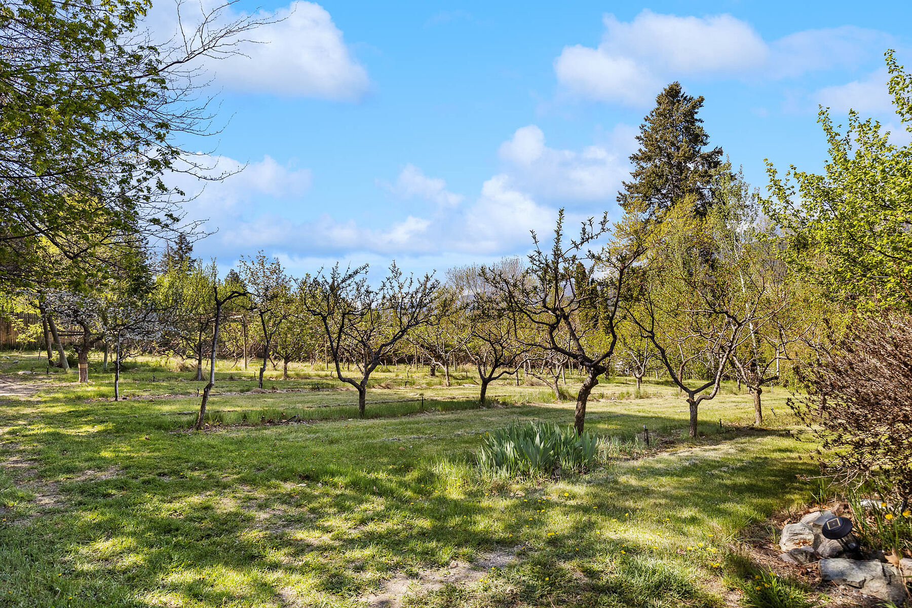  2.63 Acres in Oyama - 物件實景