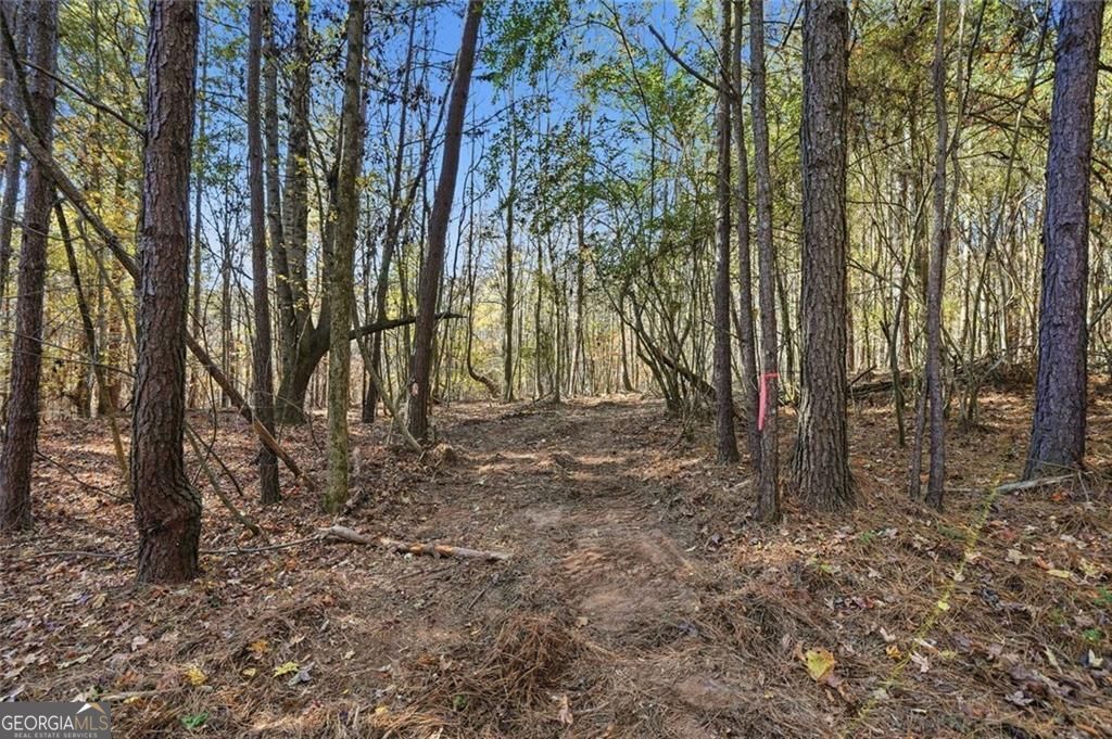 Jasper, Georgia, 30143, United States, ,Land,For Sale,1996551