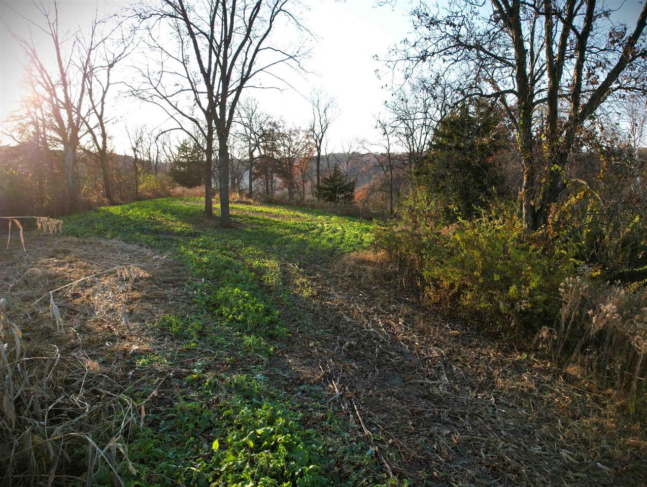 Muscoda, Wisconsin, 53573, United States, 3 Bedrooms Bedrooms, ,3 BathroomsBathrooms,Residential,For Sale,1990387