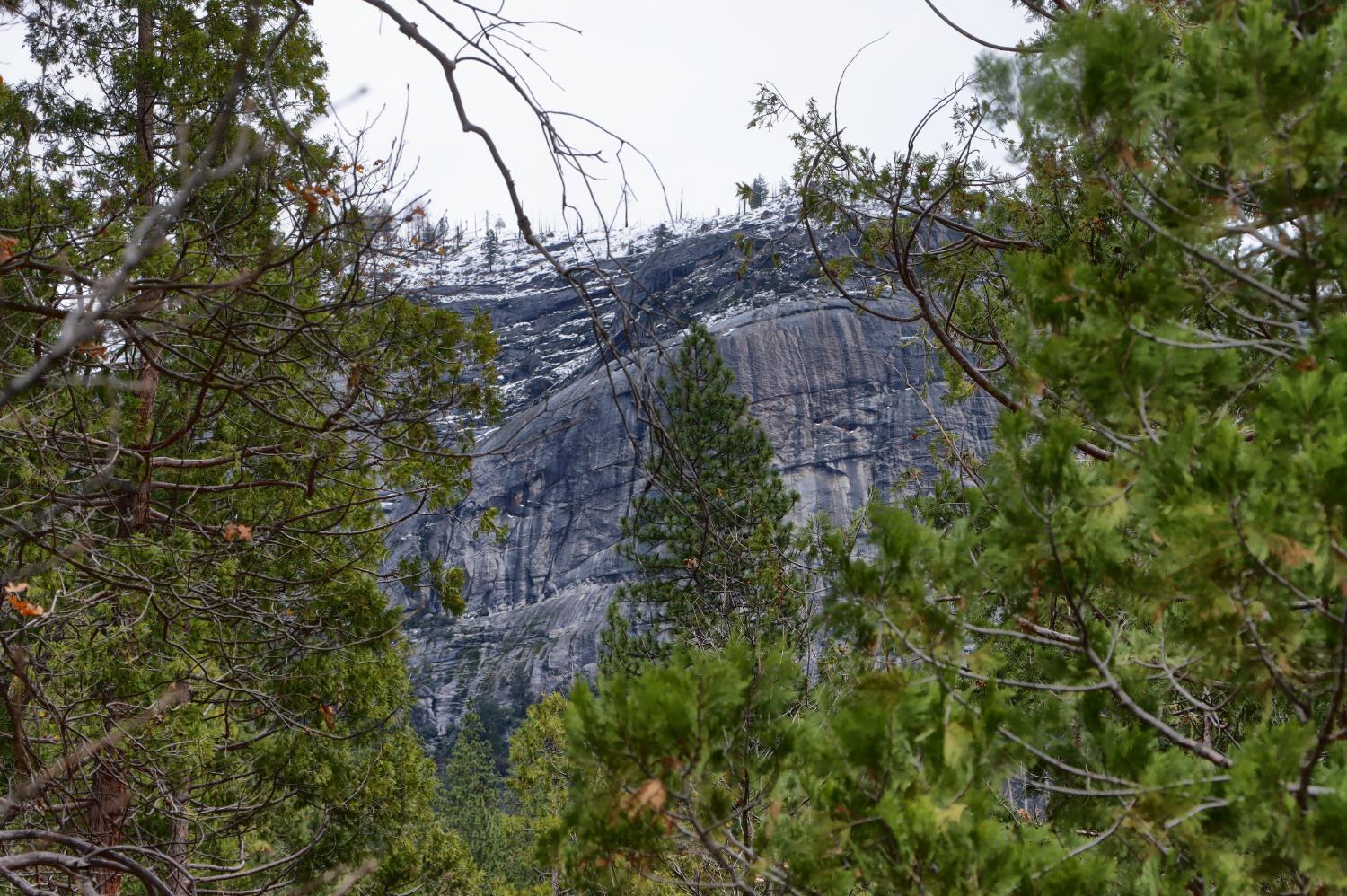 Wawona, California, 95389, United States, 3 Bedrooms Bedrooms, ,2 BathroomsBathrooms,Residential,For Sale,1998030