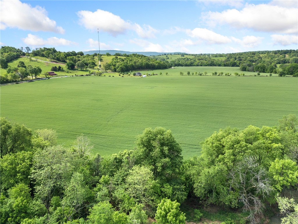 Alpena, Arkansas, 72611, United States, ,Land,For Sale,1903921