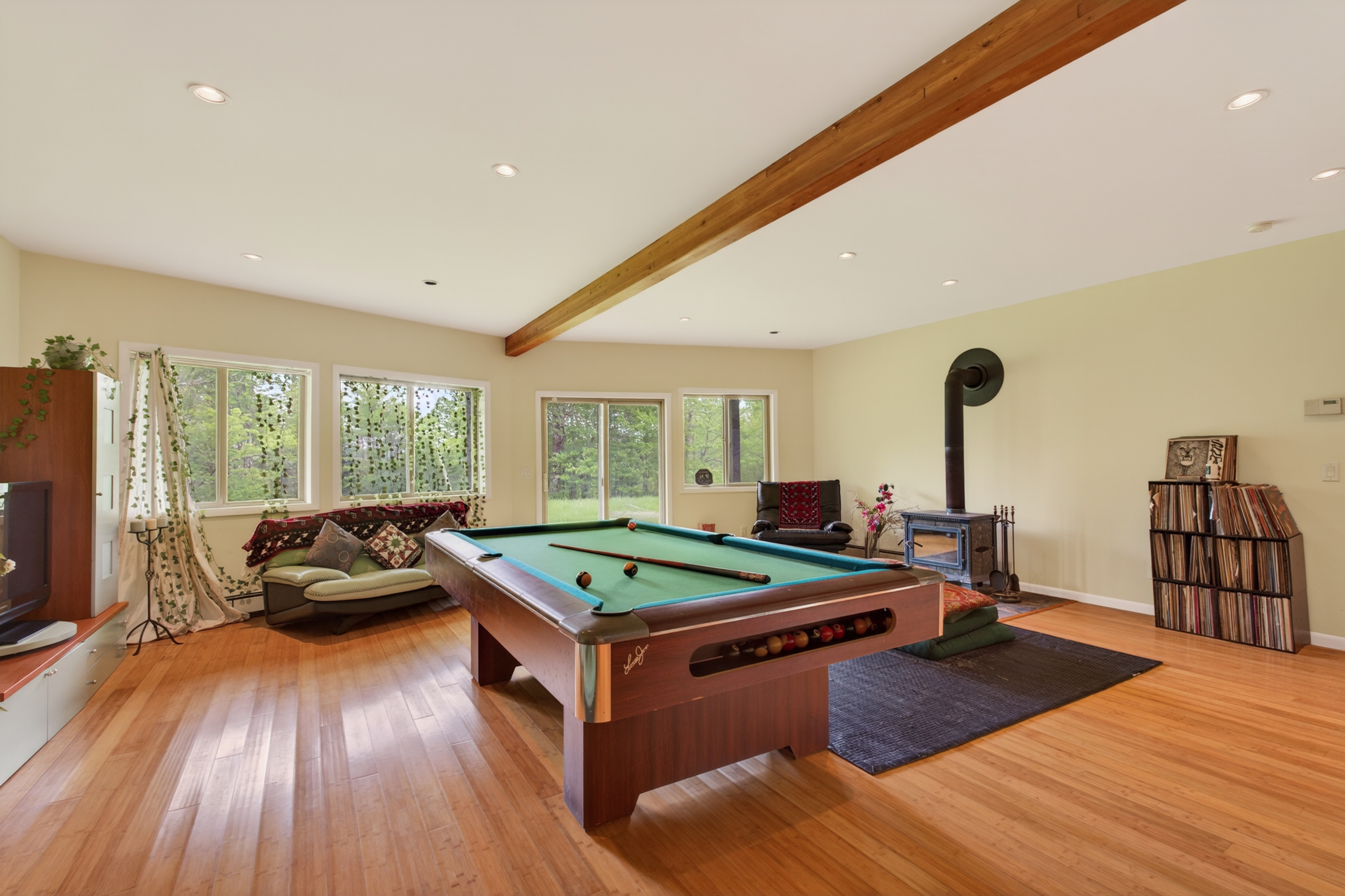  81 N Pond Drive, Livingston Manor, NY, 12758 - 物件實景