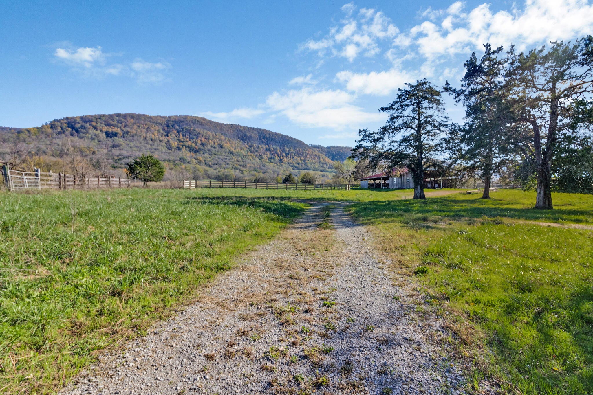 188 Marion Agee Road, Crossville, Tennessee, 37367, United States, ,Land,For Sale,188 Marion Agee Road,1659693