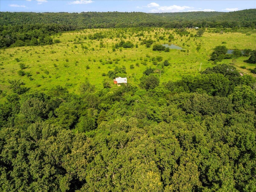 Udall, Missouri, 65766, United States, ,Land,For Sale,1984172