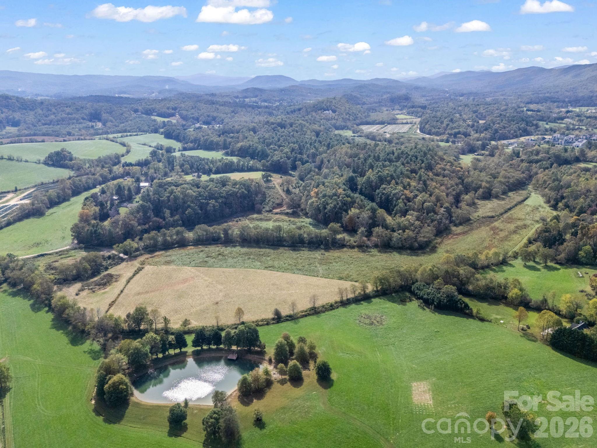 Mills River, North Carolina, 28759, United States, ,Land,For Sale,1975215