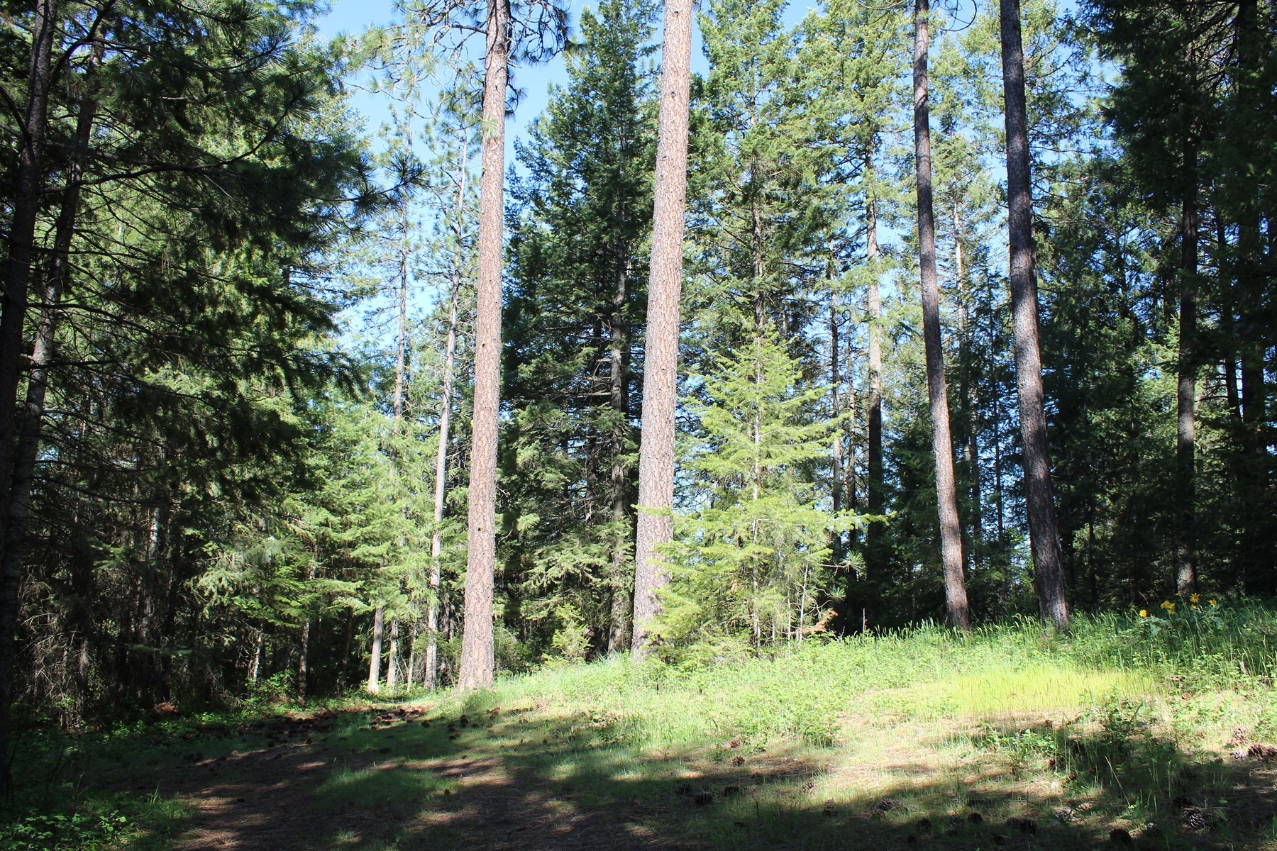  881 S Allen Rd and 2714 E Haven Dr Coeur d