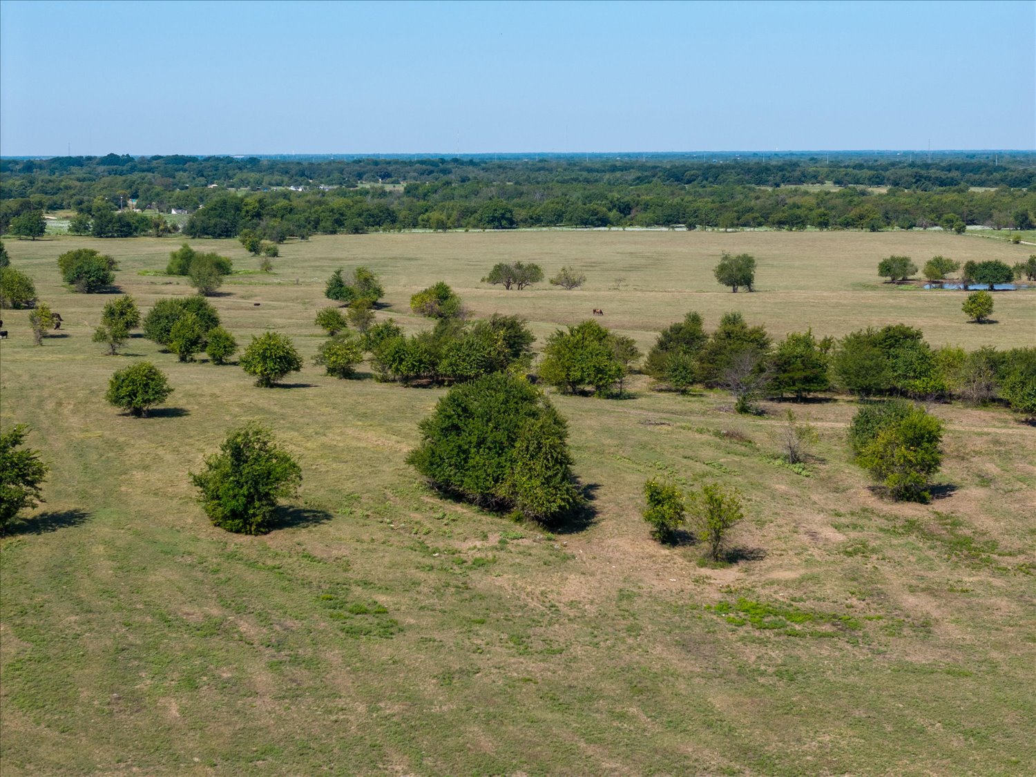 Campbell, Texas, 75422, United States, ,Land,For Sale,2014802