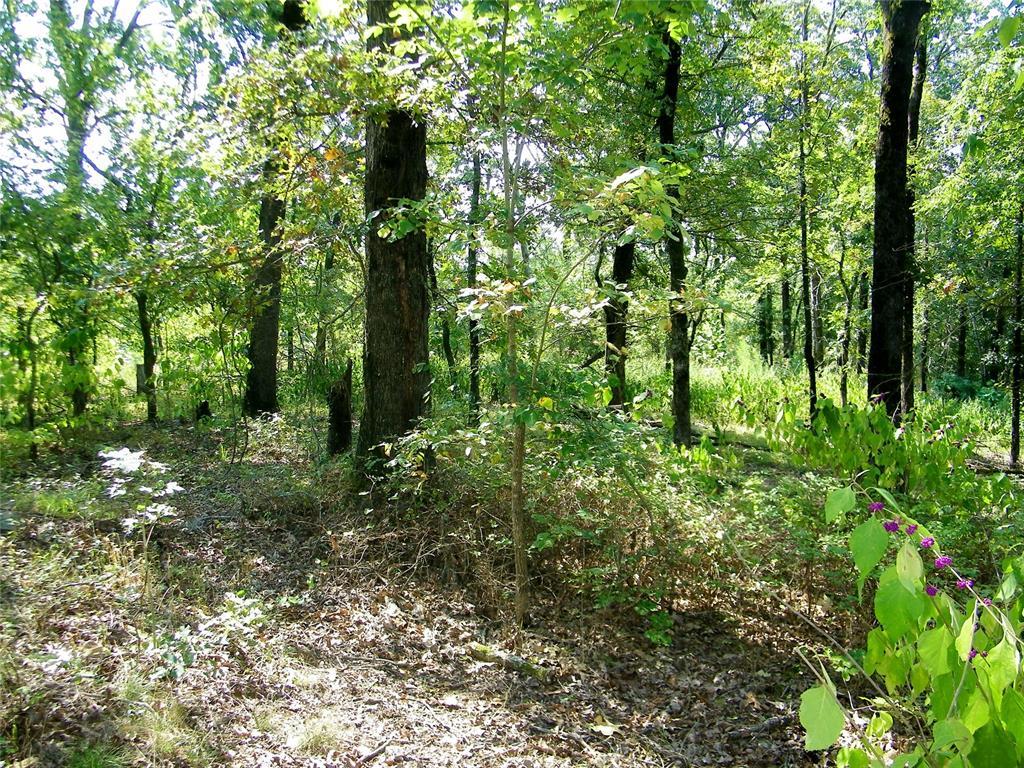 Broken Bow, Oklahoma, 74728, United States, ,Residential,For Sale,1979541