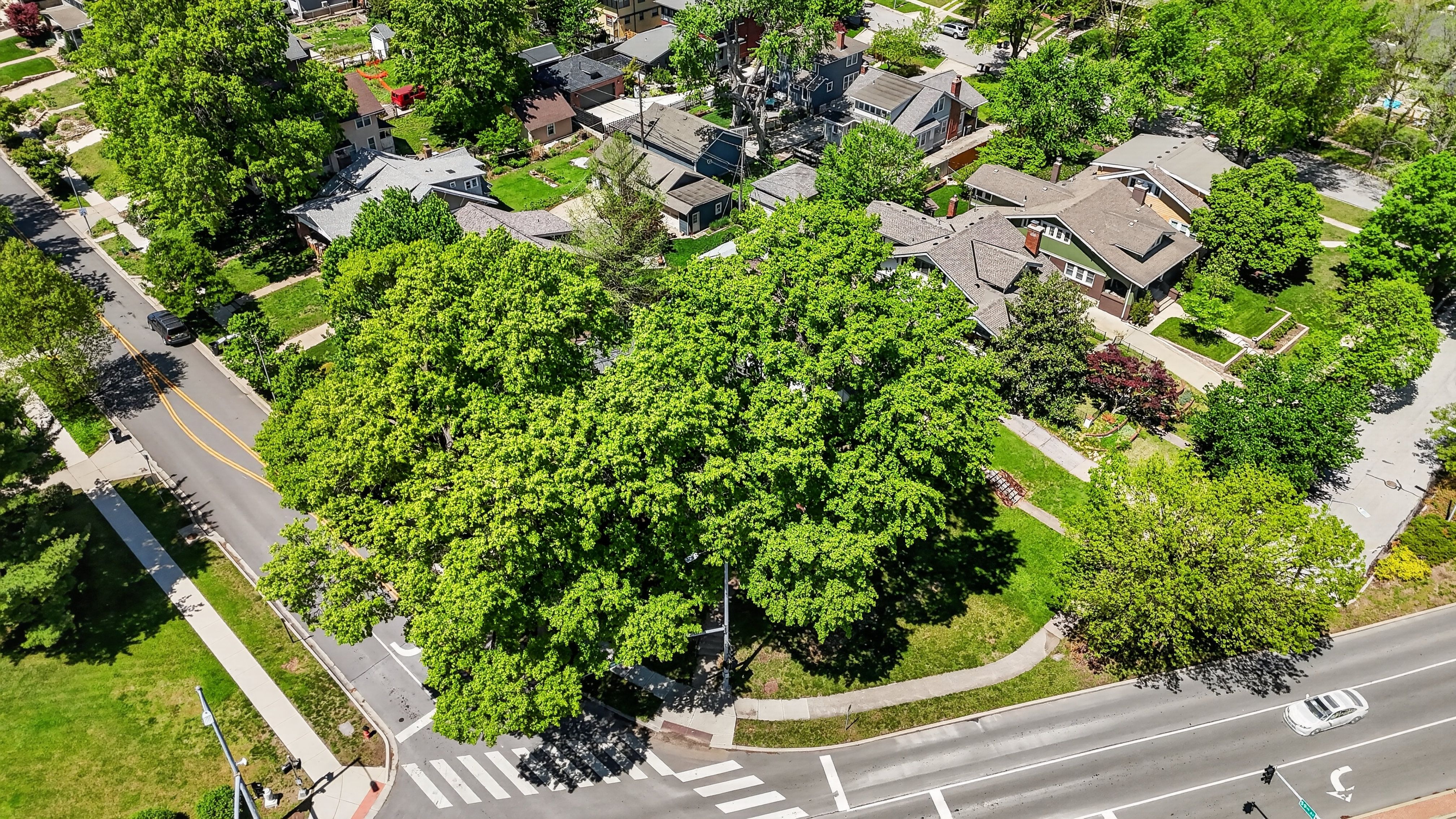  5850 Brookside Boulevard, Kansas City, MO 64113 - 物件實景