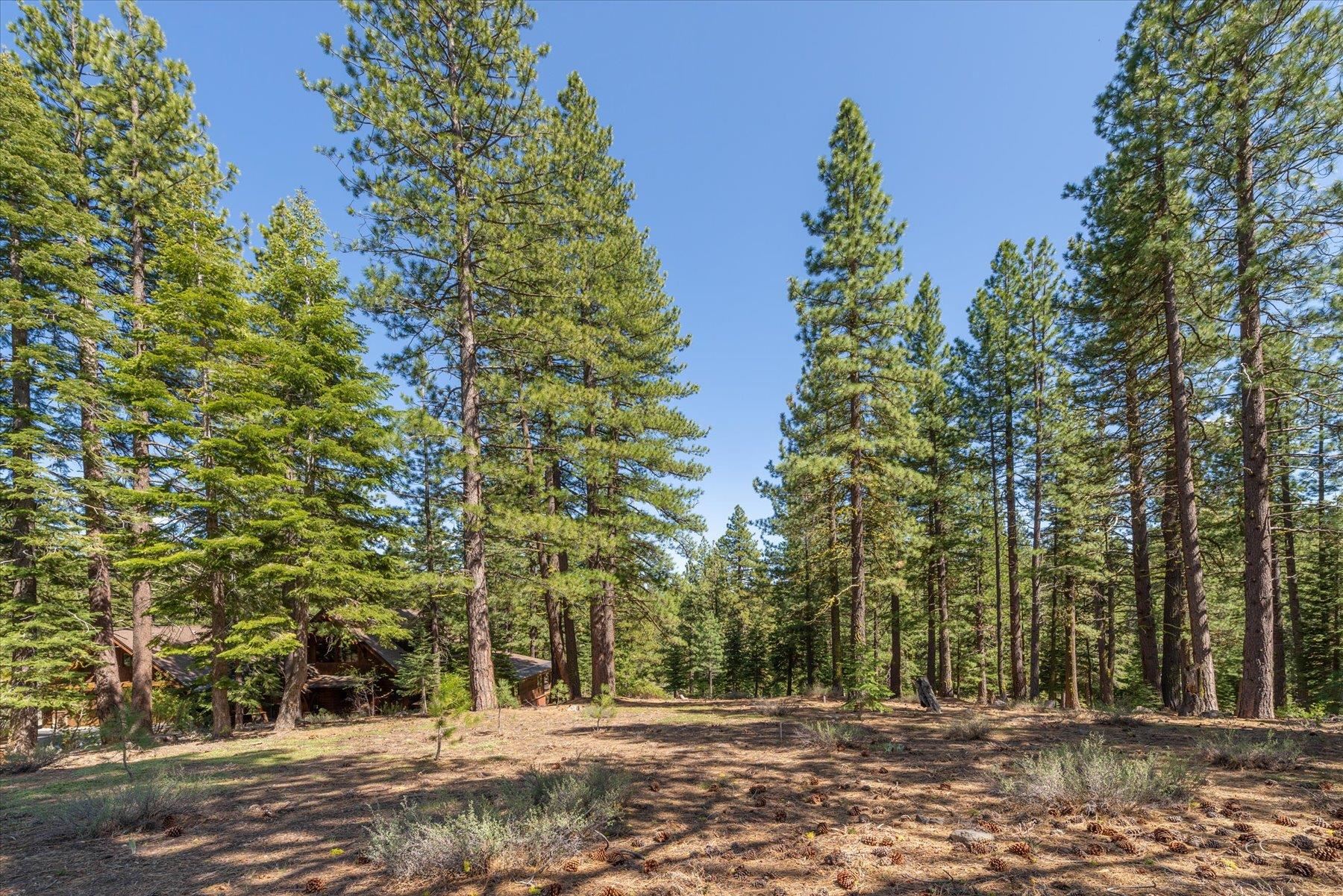 Truckee, California, 96161, United States, ,Land,For Sale,1828145