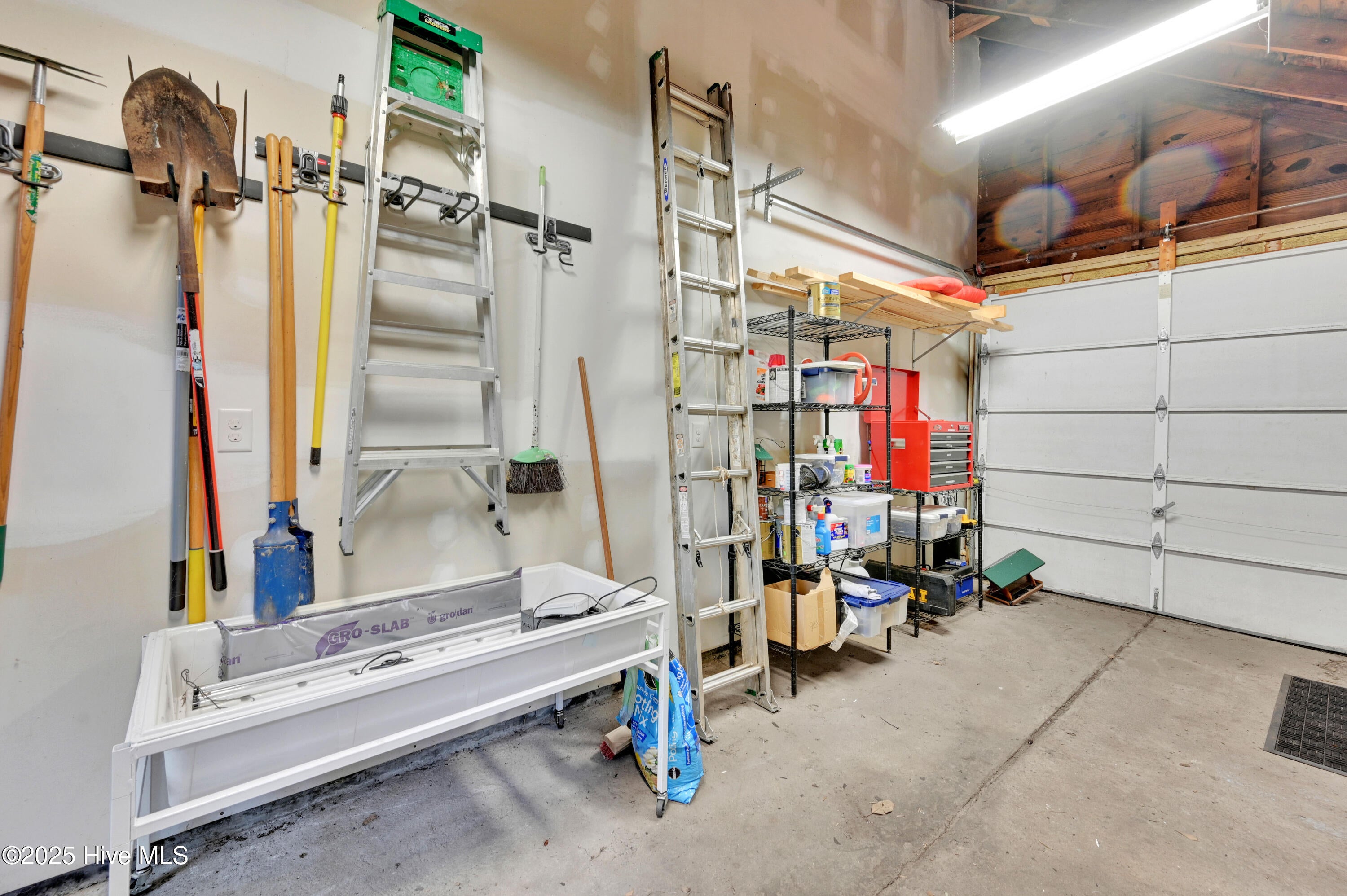 Greenville, North Carolina, 27858, United States, 4 Bedrooms Bedrooms, ,3 BathroomsBathrooms,Residential,For Sale,1985728