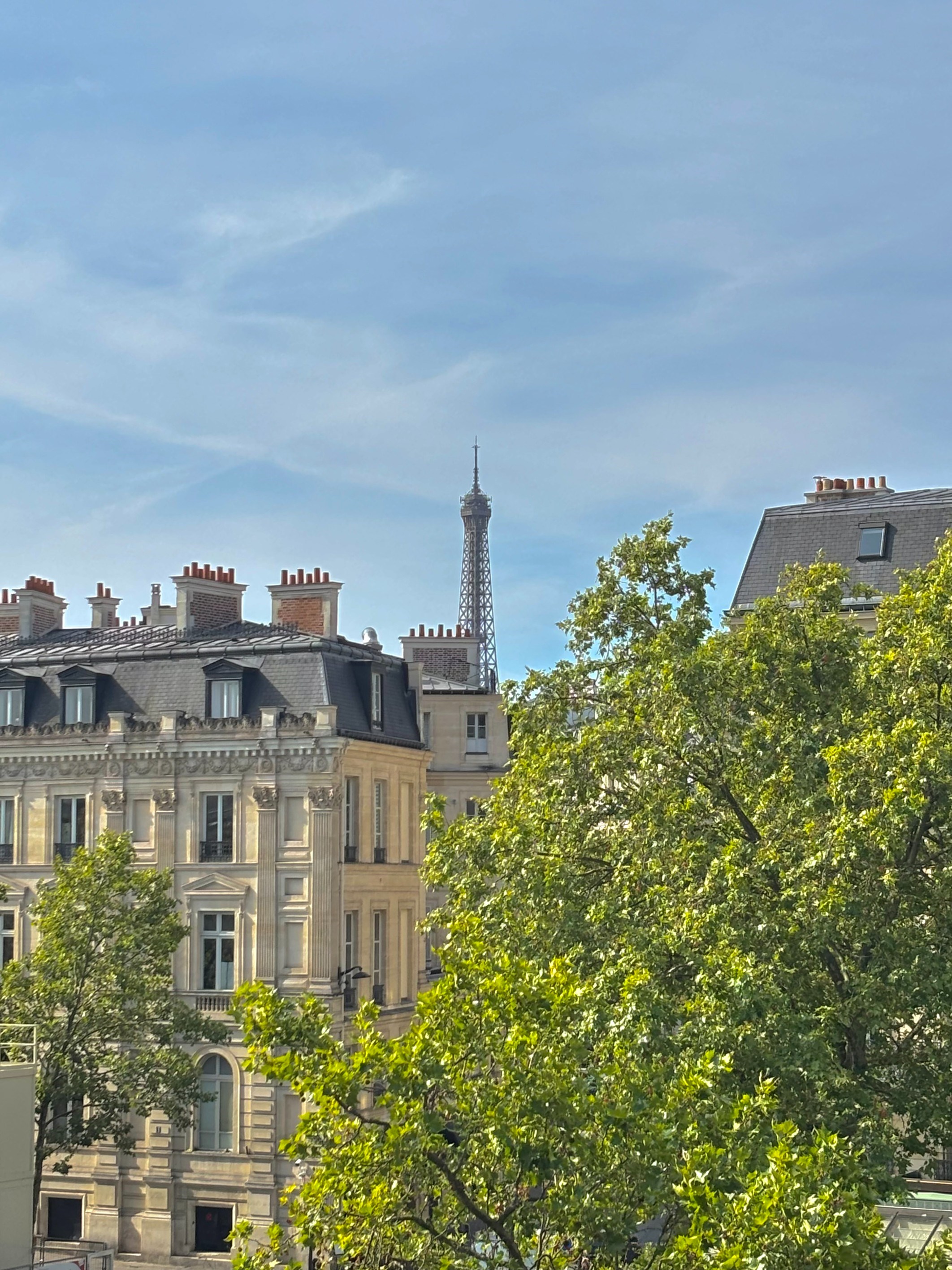  Apartment - 2 bedrooms - Arc de Triomphe - 物件實景