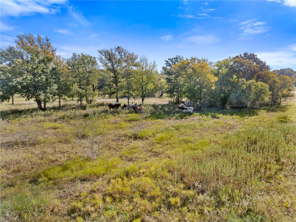 Anderson, Texas, 77830, United States, ,Land,For Sale,1983245