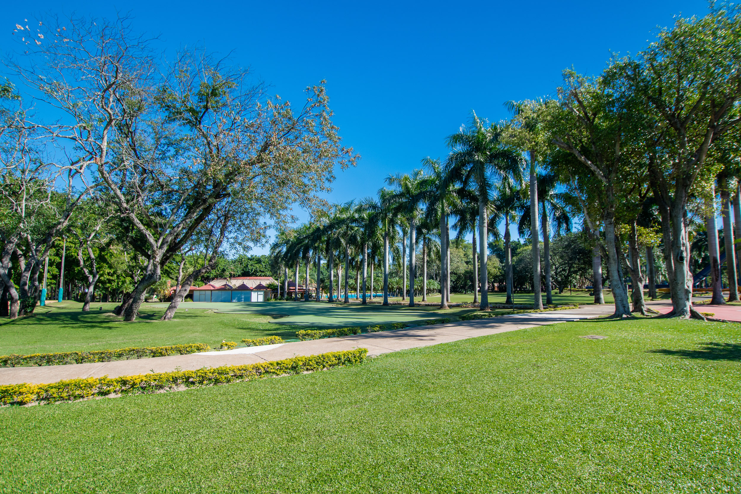  Exclusive Lot in the Gated Community of Rakiura Country - 物件實景