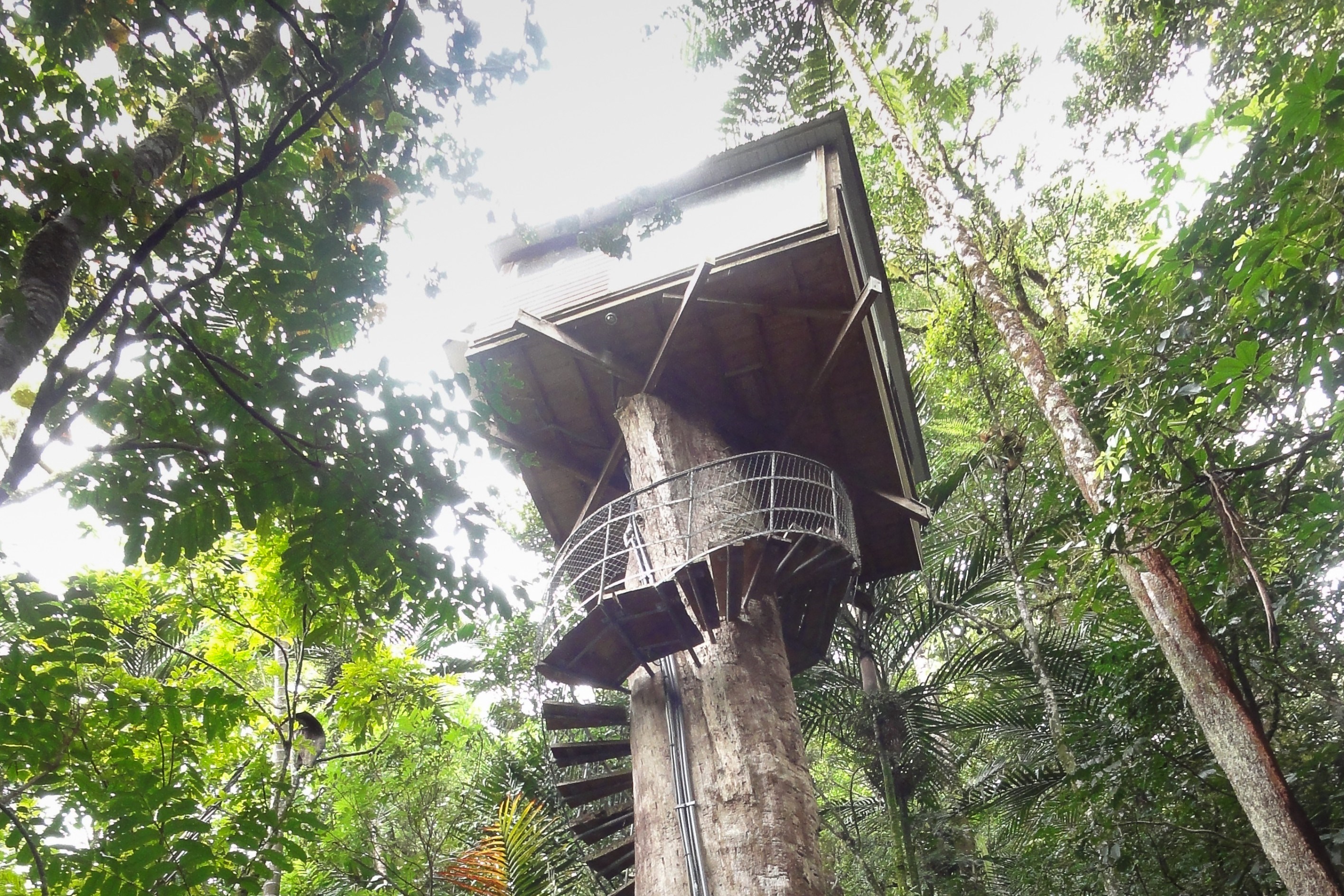  New Caledonia - Dumbéa - Inn and its vast estate on the heights of the Koghi Pl… - 物件實景
