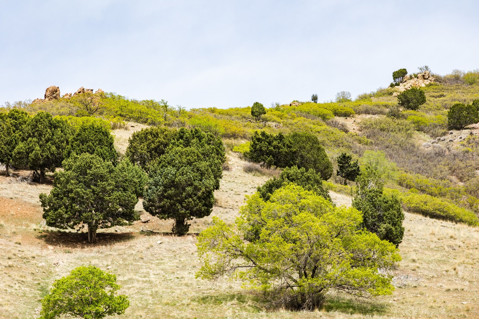  Exclusive Tavaci Homesite  Elevated Living with Panoramic Valley & Wasatch View - 物件實景