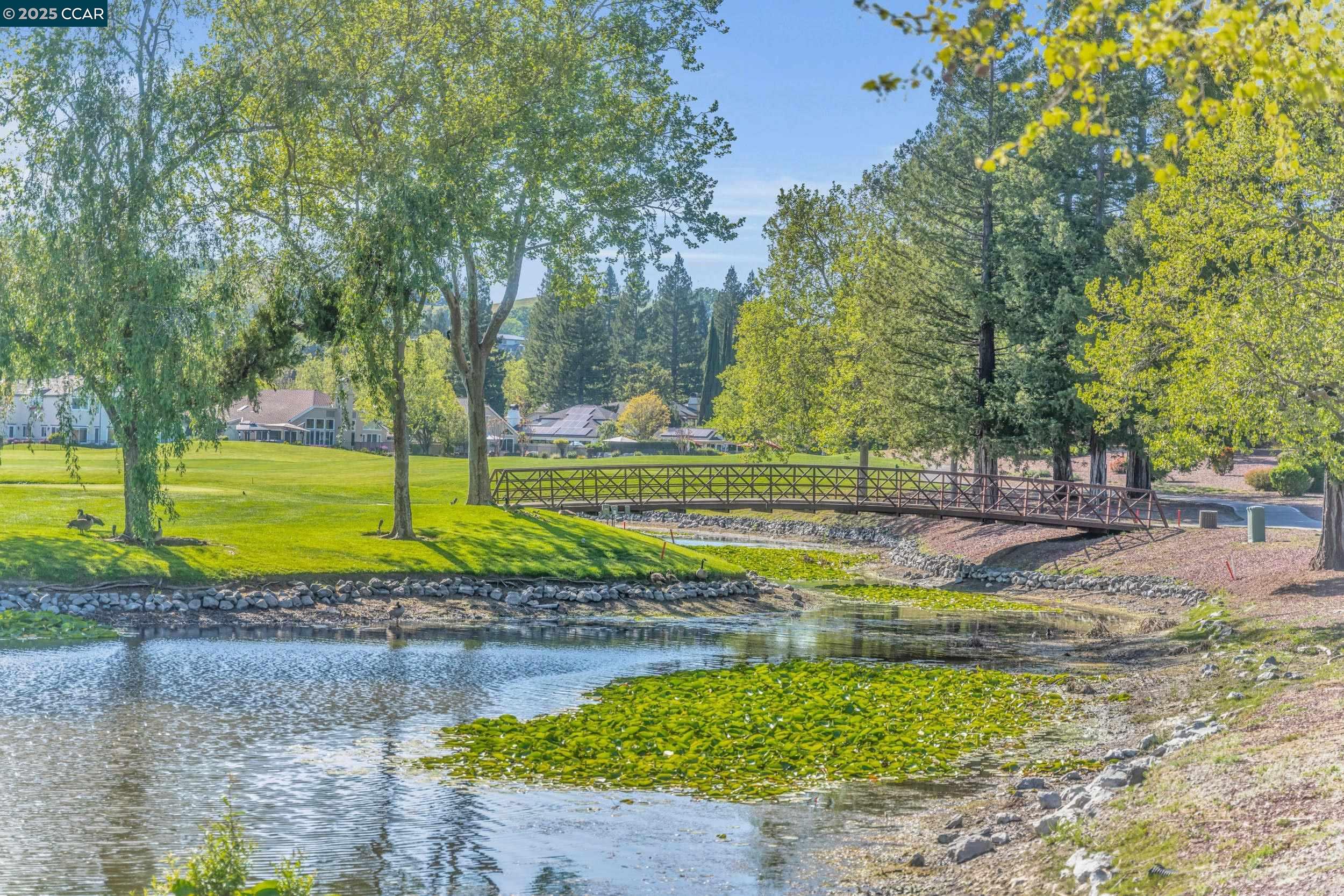 Danville, California, 94506, United States, 5 Bedrooms Bedrooms, ,6 BathroomsBathrooms,Residential,For Sale,1948518
