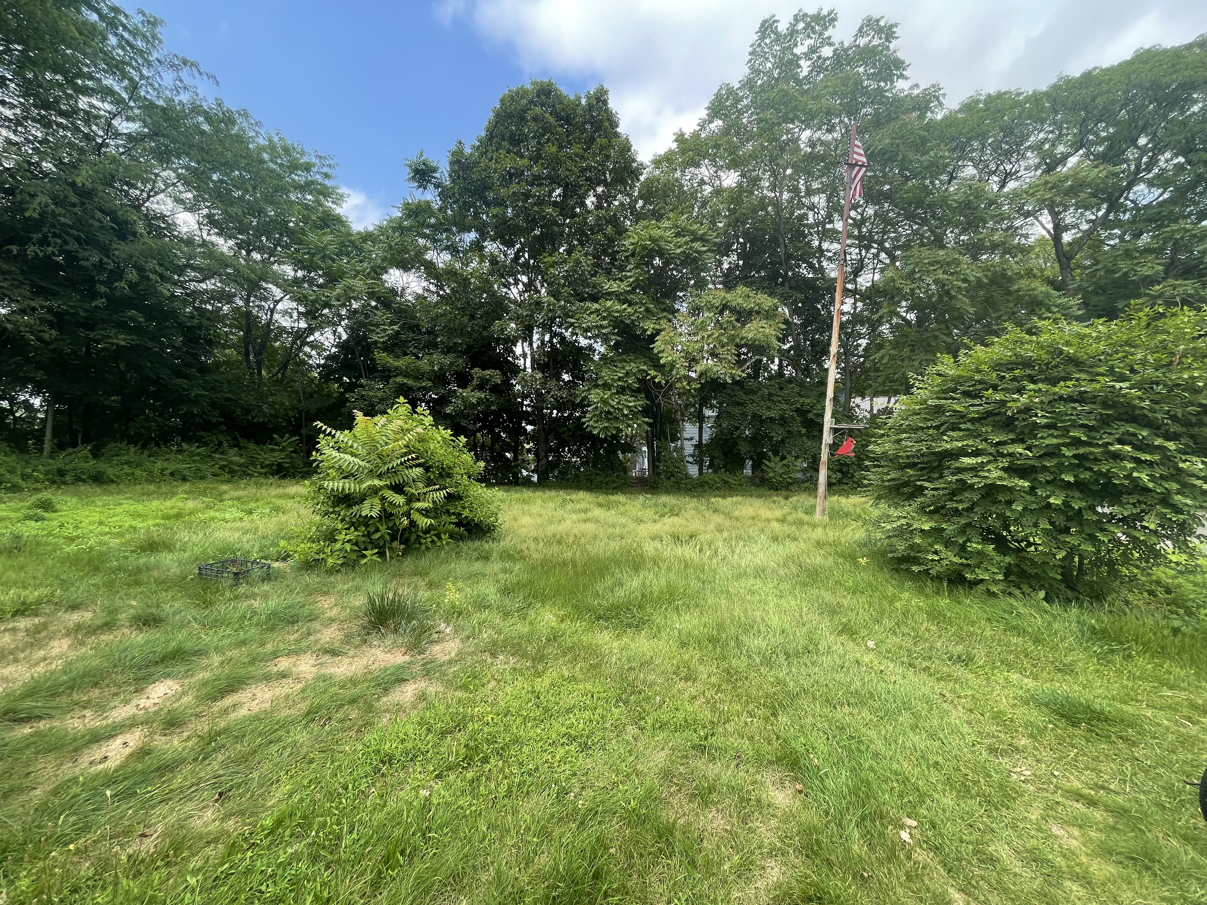 Waterbury, Connecticut, 06706, United States, 8 Bedrooms Bedrooms, ,6 BathroomsBathrooms,Residential,For Sale,1921464