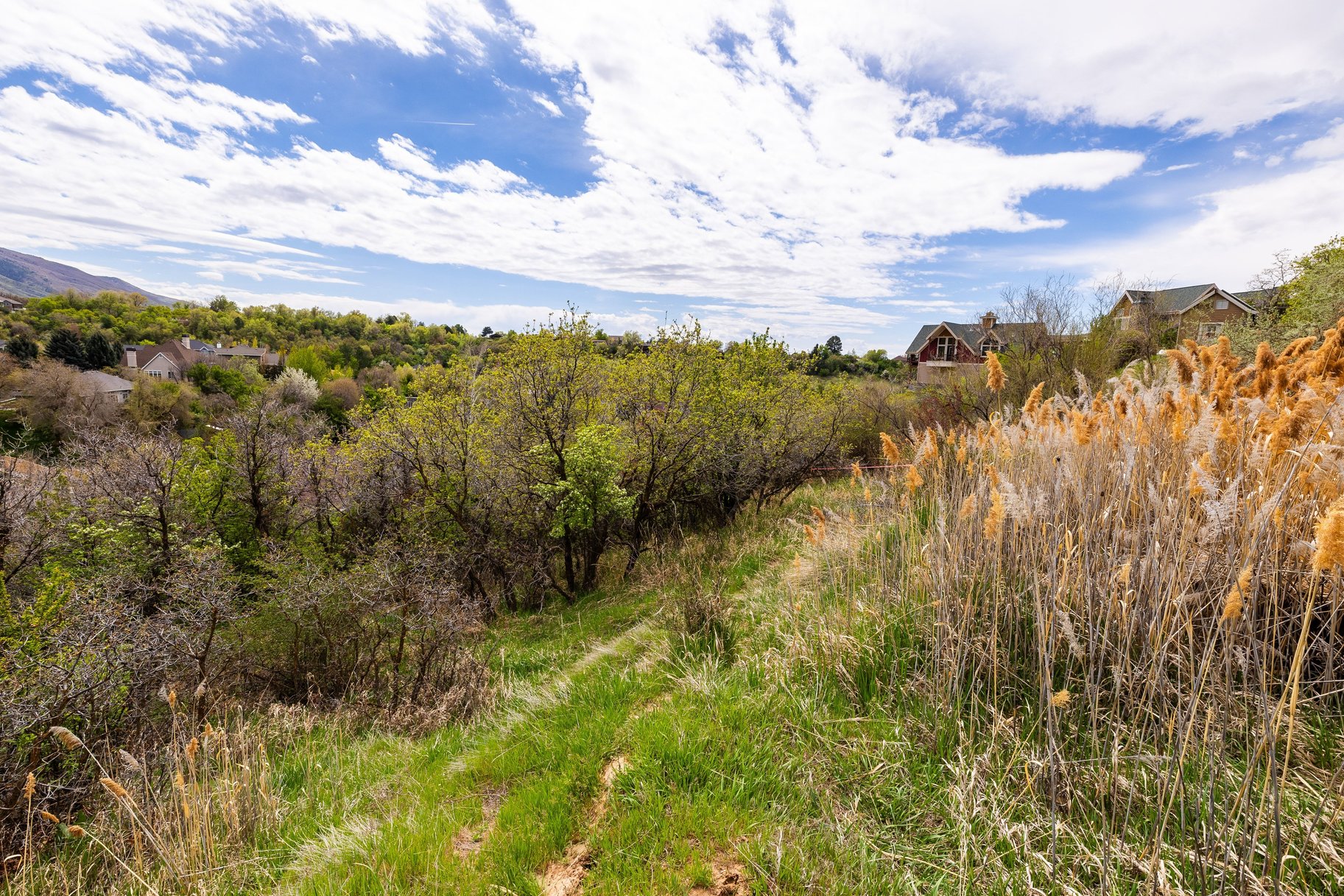  1.47 Acre Lot In East Layton With Endless Possibilities - 物件實景