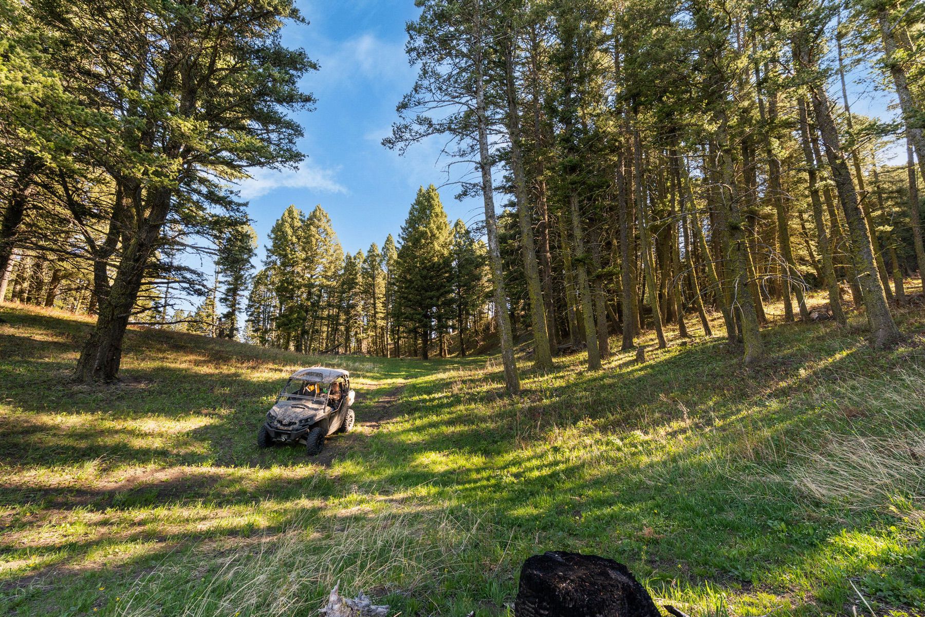 271 Sled Run Rd - 物件實景