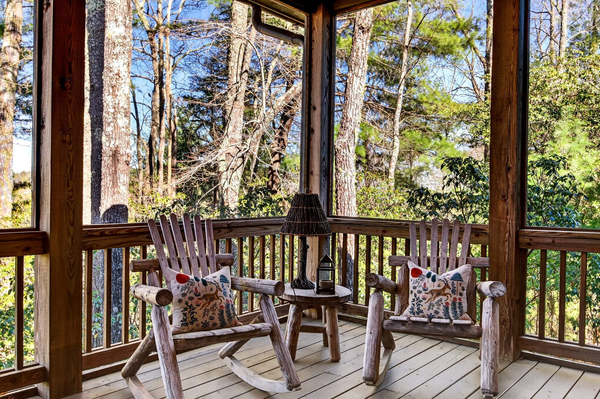  161 Chestnut Trace - 物件實景