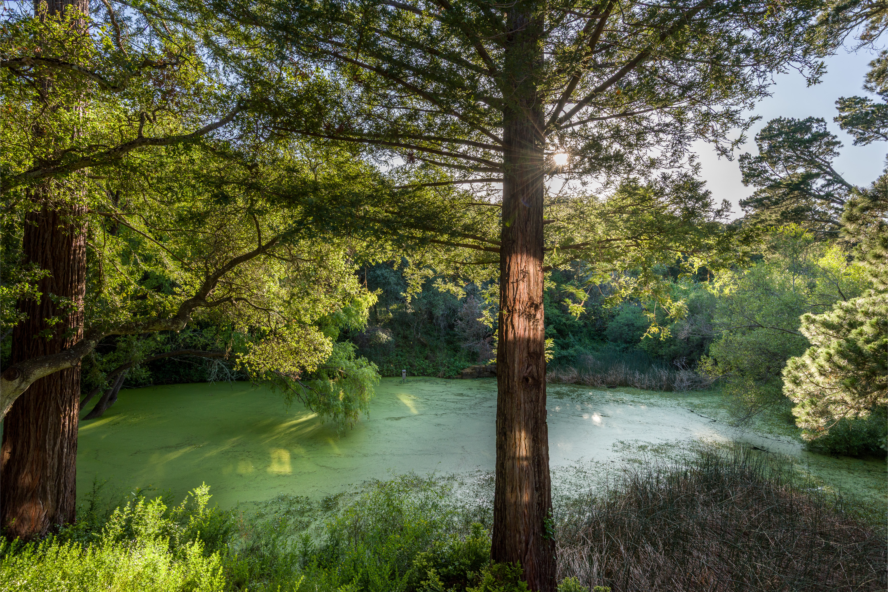  90 Hayfields Road, Portola Valley, CA 94028 - 物件實景