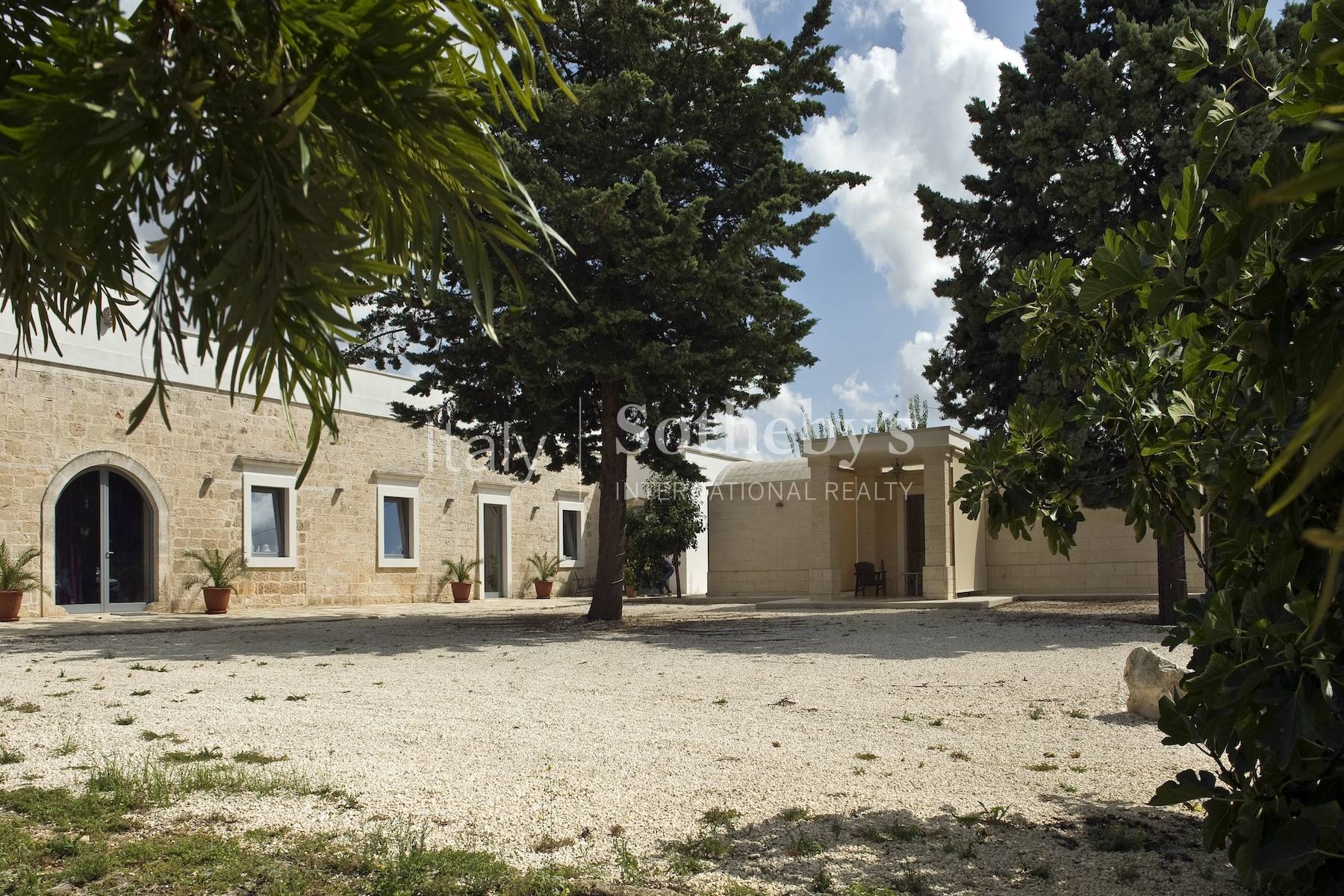  Old farmhouse with olive trees and a swimming pool - 物件實景