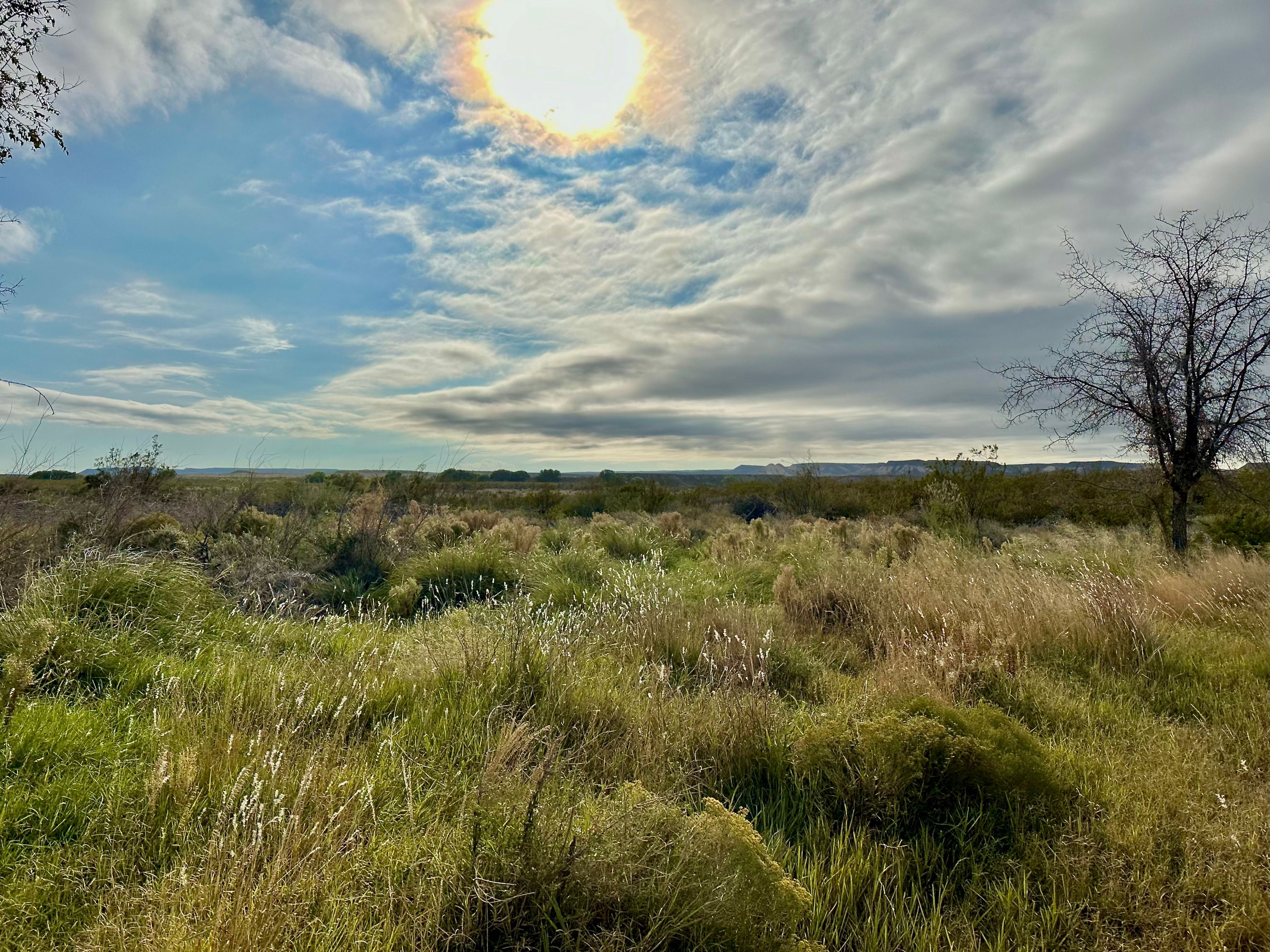  The Alamito Ranch in Presidio County - 物件實景