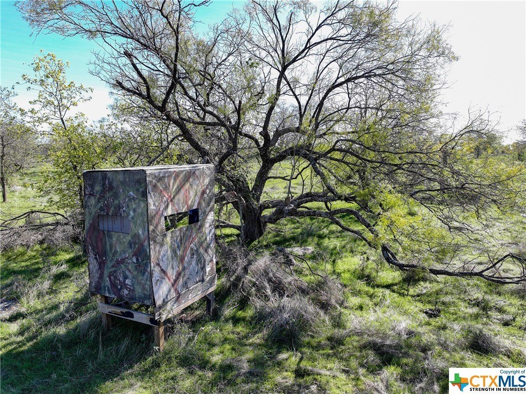 Tbd Prairie Dell Road, Salado, Texas, 76571, United States, ,Residential,For Sale,Tbd Prairie Dell Road,1423669