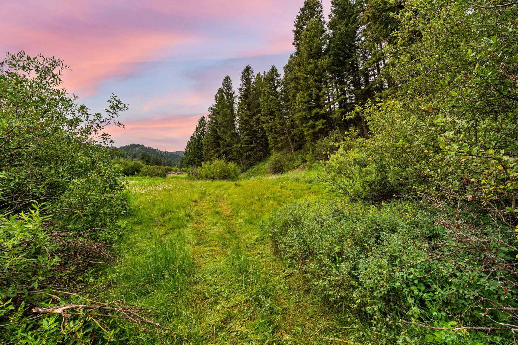  215 Timberline Creek Dr - 物件實景