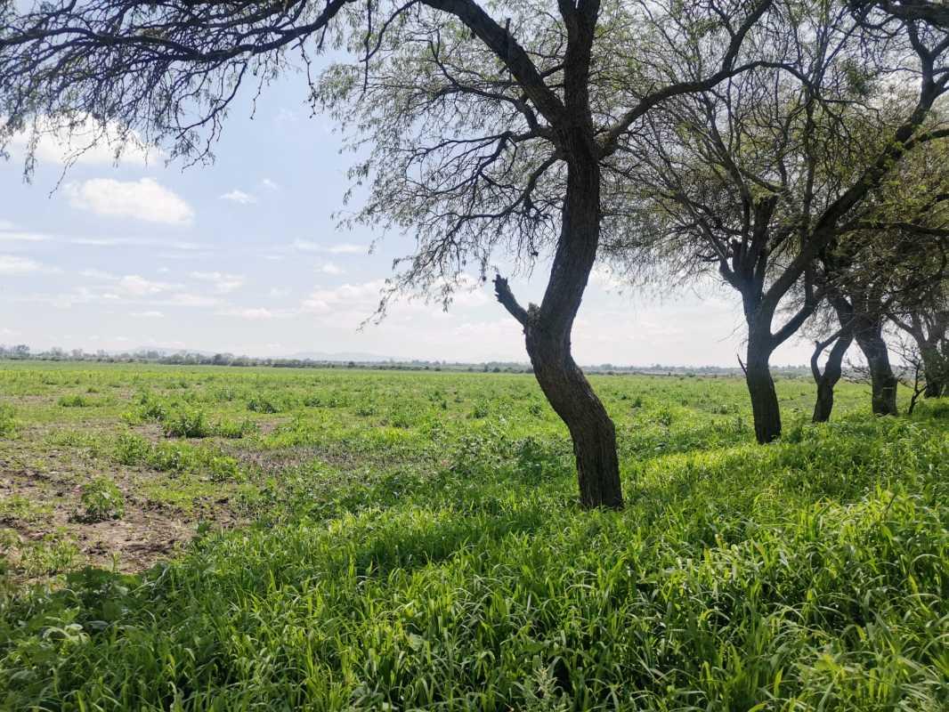 carretera 432, Pedro Escobedo, Querétaro, 76709, Mexico, 1 Bedroom Bedrooms, ,Residential,For Sale,carretera 432,1441822