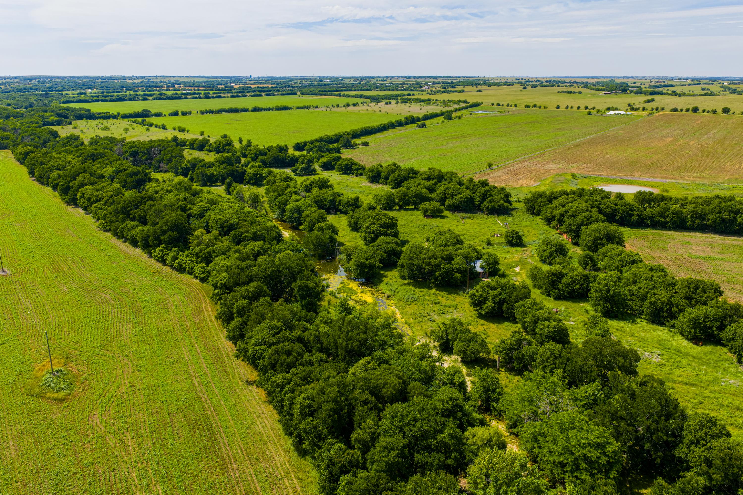  667 Acre Development Property With Two Miles Of Highway Frontage - 物件實景