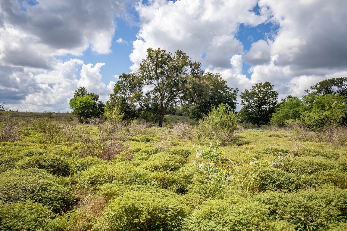 Cuero, Texas, 77954, United States, ,Residential,For Sale,1946988