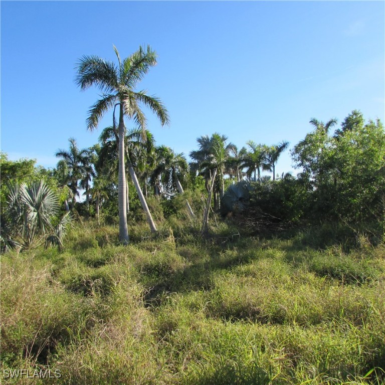 St James City, Florida, 33956, United States, ,Land,For Sale,1975137