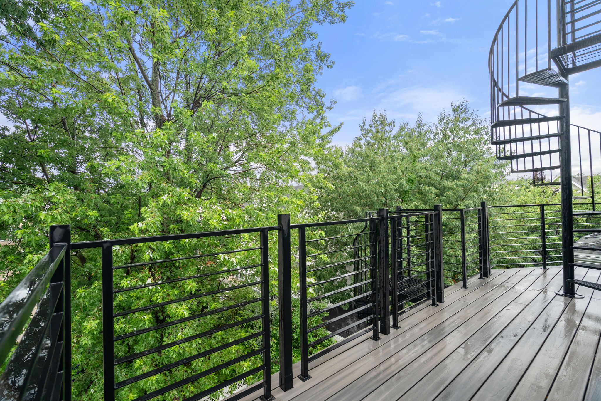  16 Elston Street, Somerville, MA, 02144 - 物件實景
