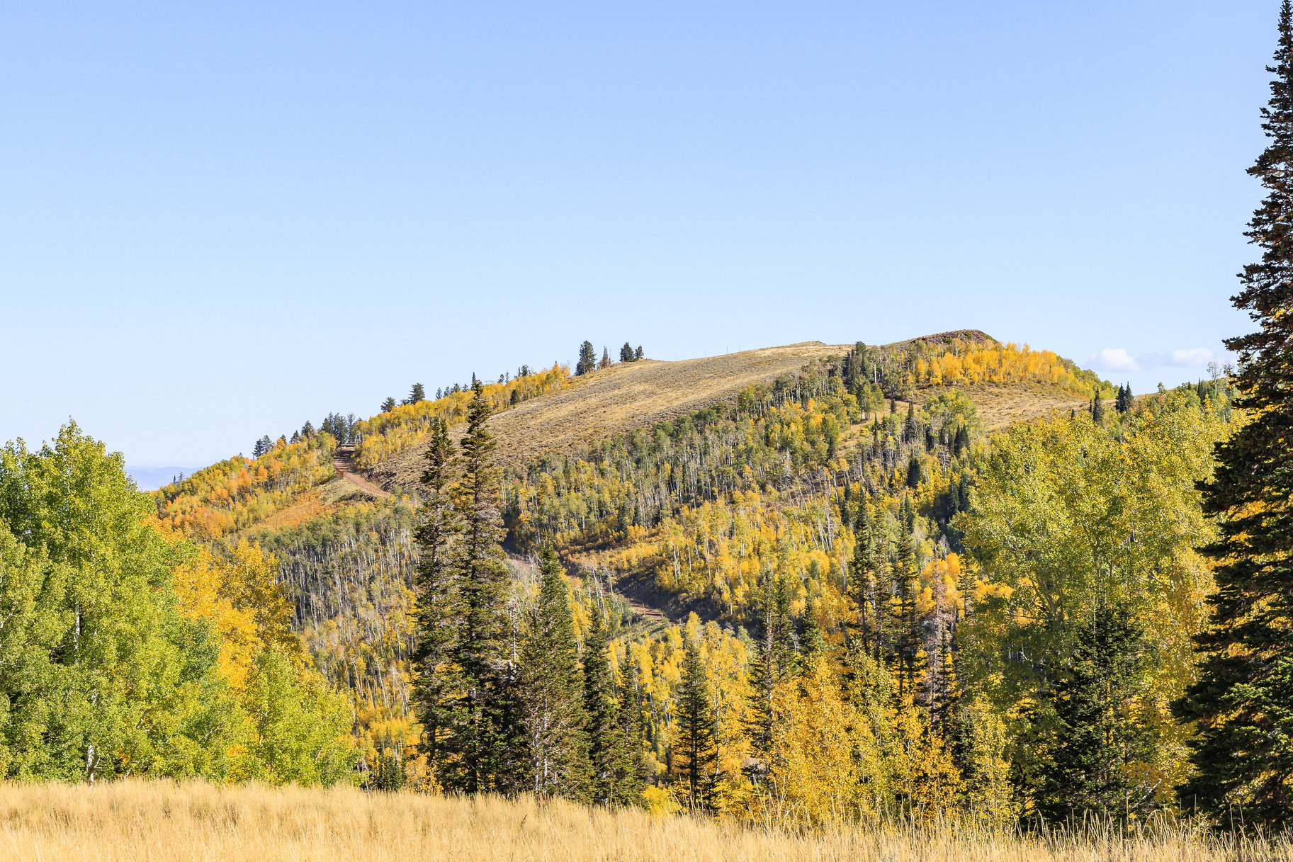  Incredible 28 Acre Estate Lot in the Colony at White Pine Canyon - 物件實景