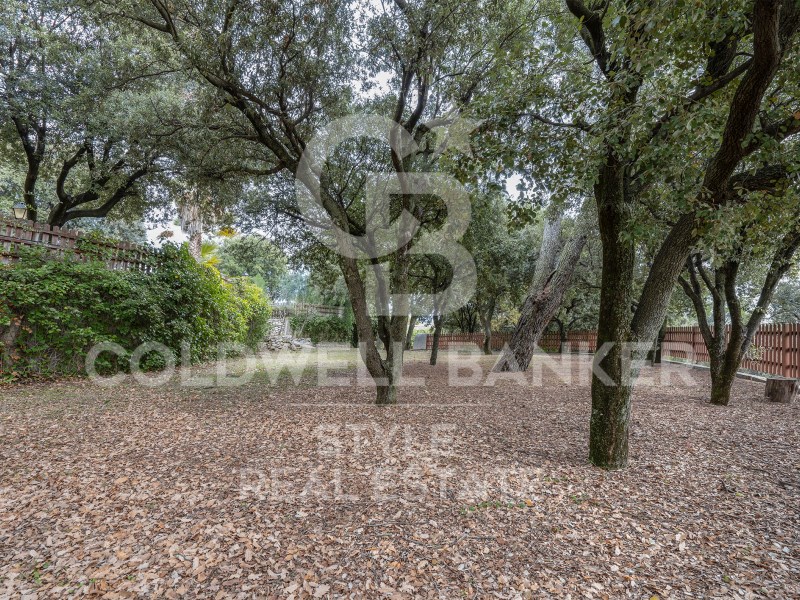 Carretera de Castellar Barcelona, Matadepera, Mata, Matadepera, Catalonia, 08227, ES, 7 Bedrooms Bedrooms, ,3 BathroomsBathrooms,Residential,For Sale,Carretera de Castellar Barcelona, Matadepera, Mata,1448691