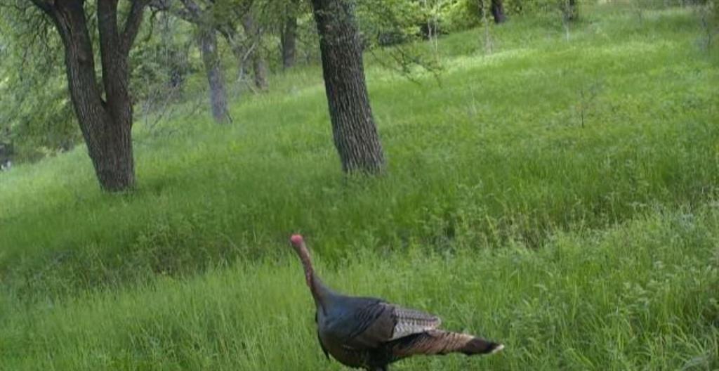 West, Texas, 76691, United States, 3 Bedrooms Bedrooms, ,2 BathroomsBathrooms,Residential,For Sale,1982487