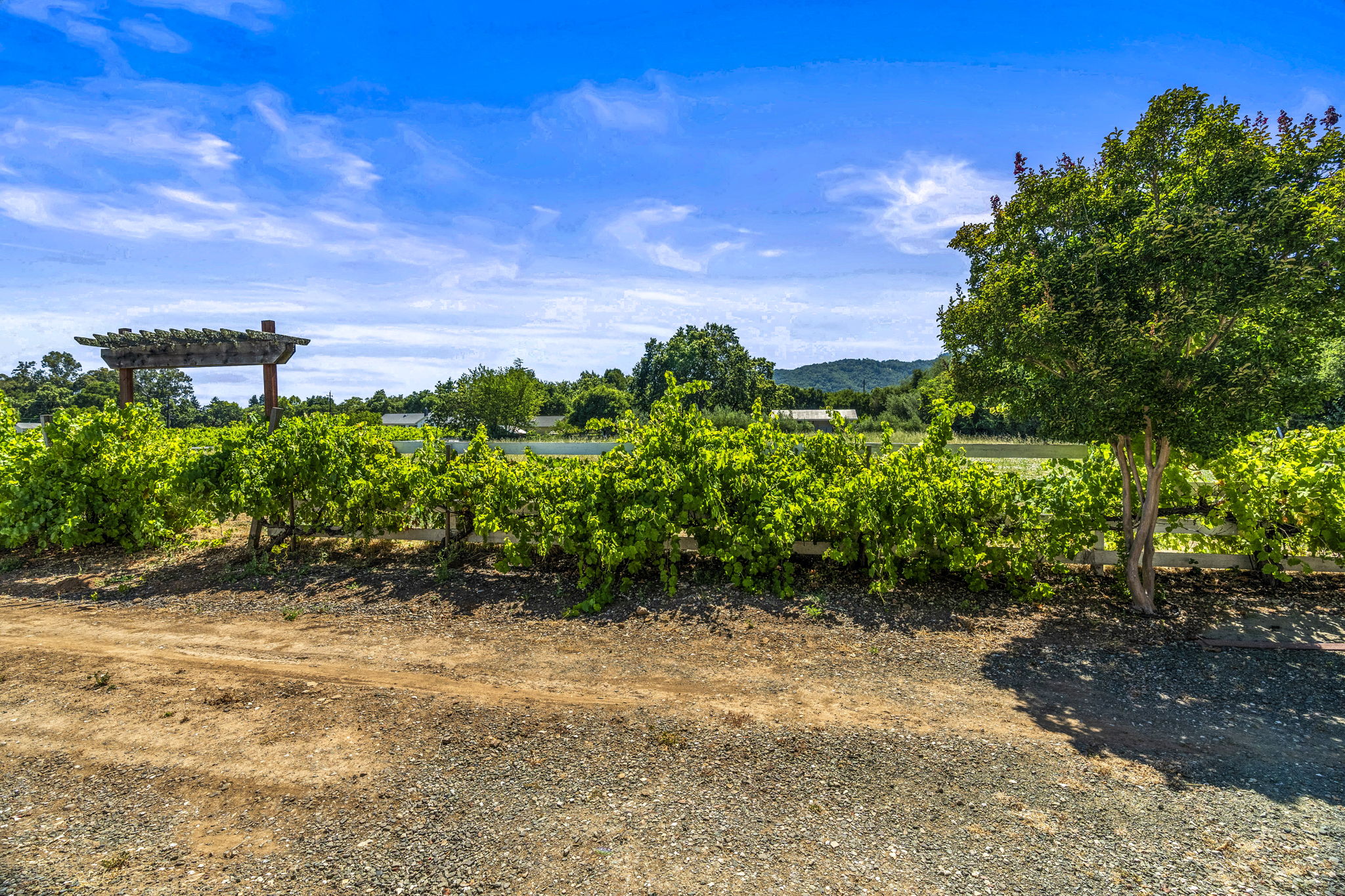  Domaine Sonoma - 物件實景