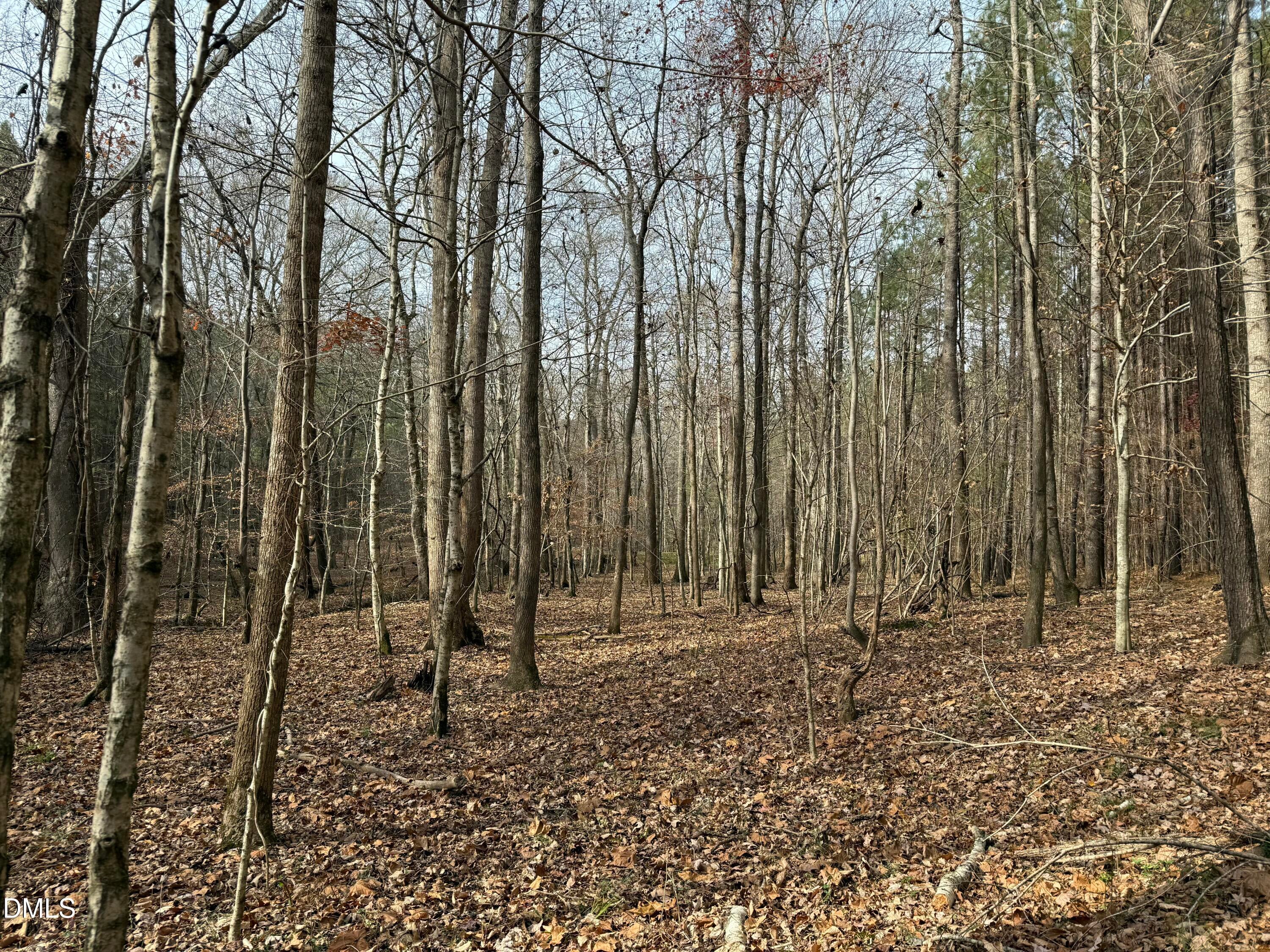 Oxford, North Carolina, 27565, United States, ,Land,For Sale,2000467